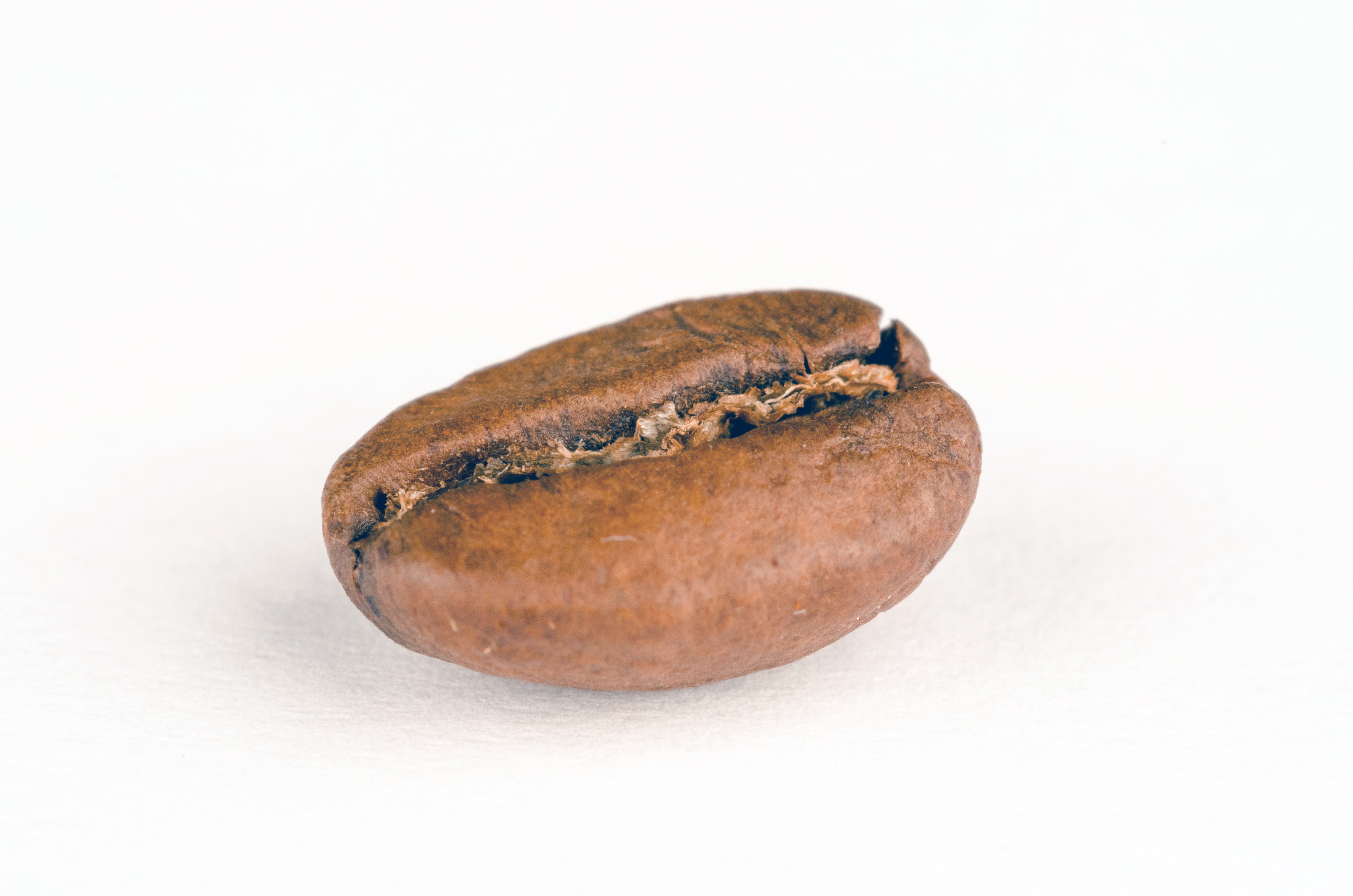 Oval Brown Stone, Background, Bean, Brown, Caffeine, HQ Photo