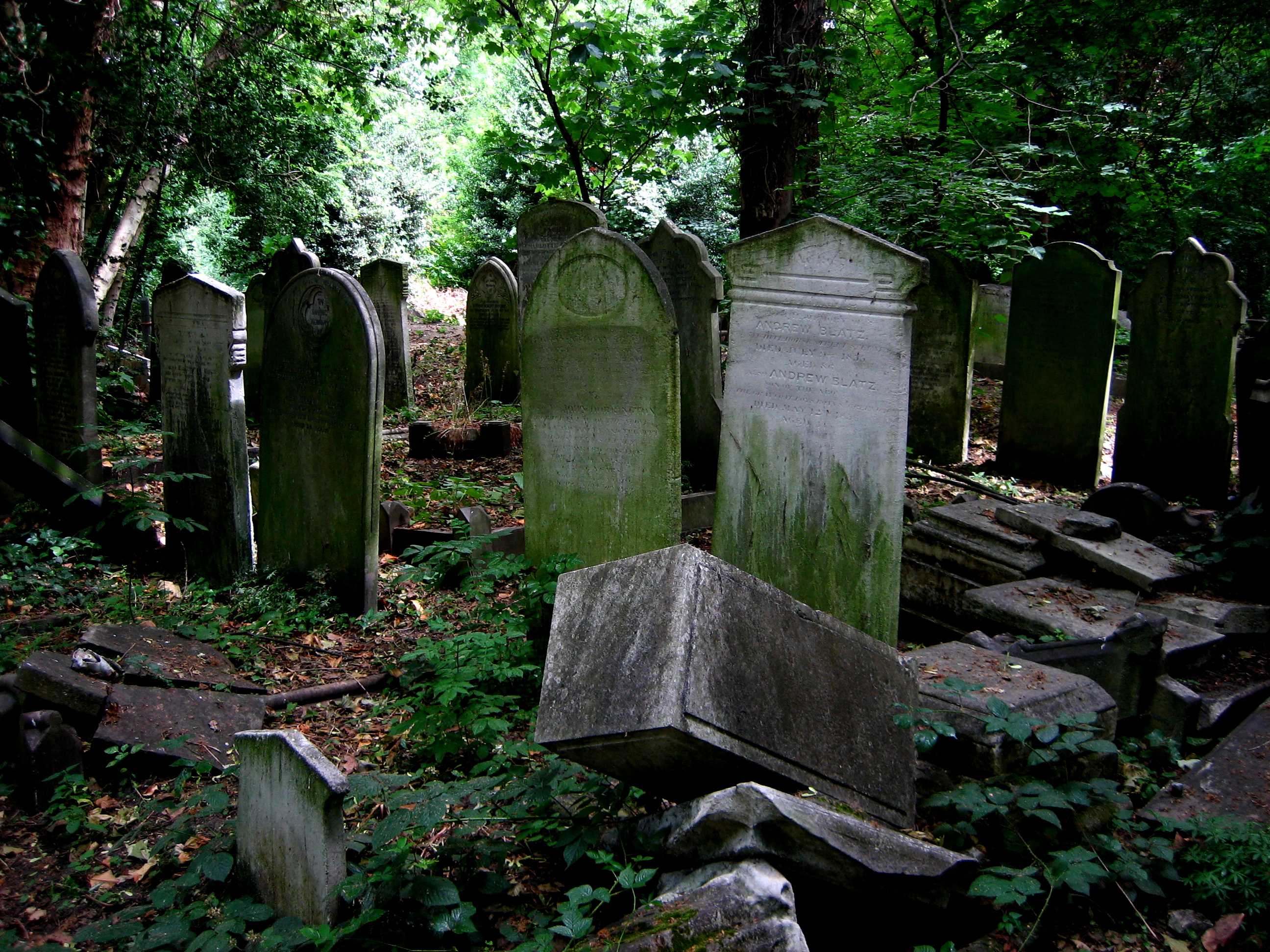 Summer at Bow Cemetery | Spitalfields Life