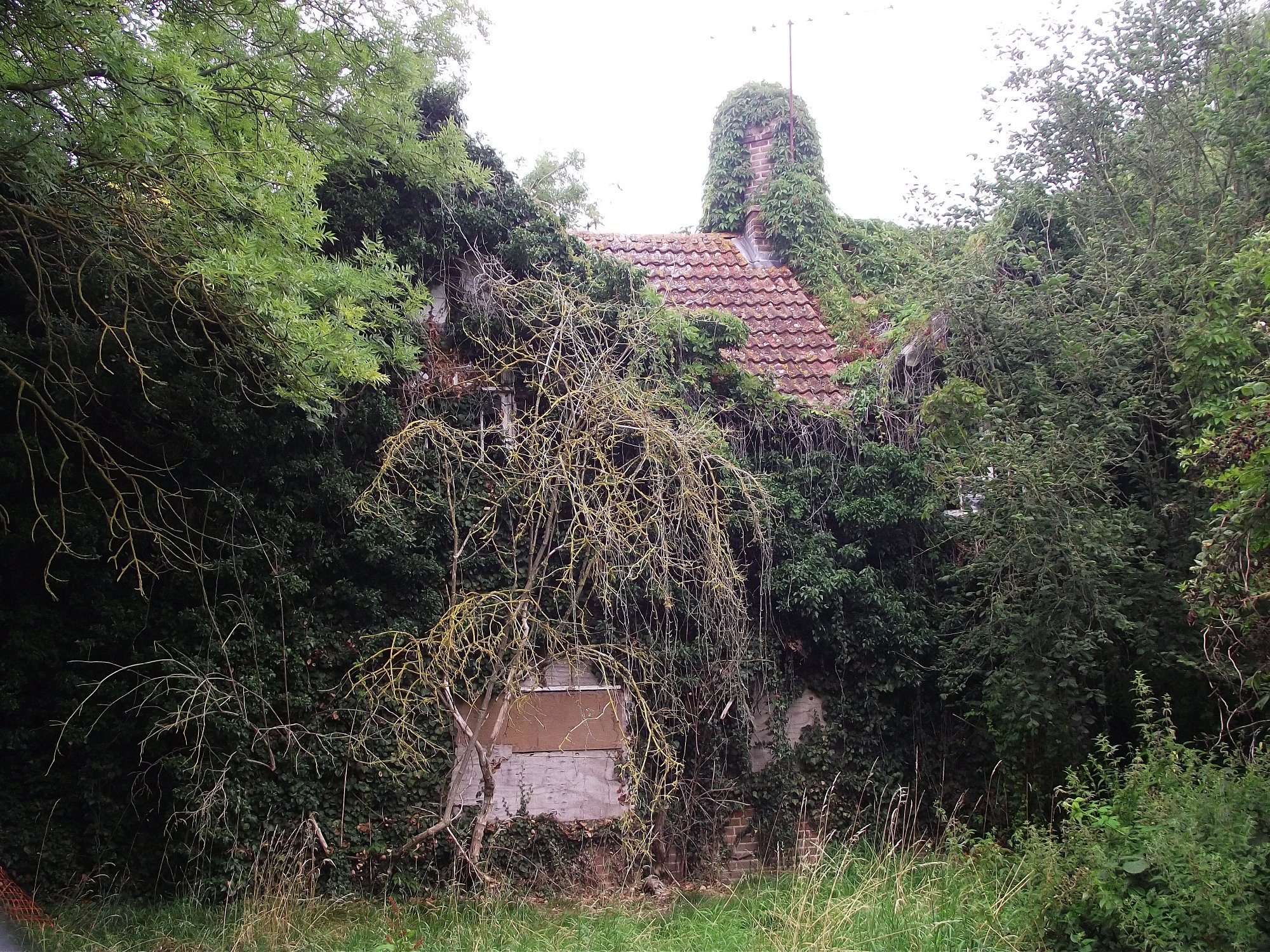 Entirely overgrown house – Derelict Cambridge, photographs and history