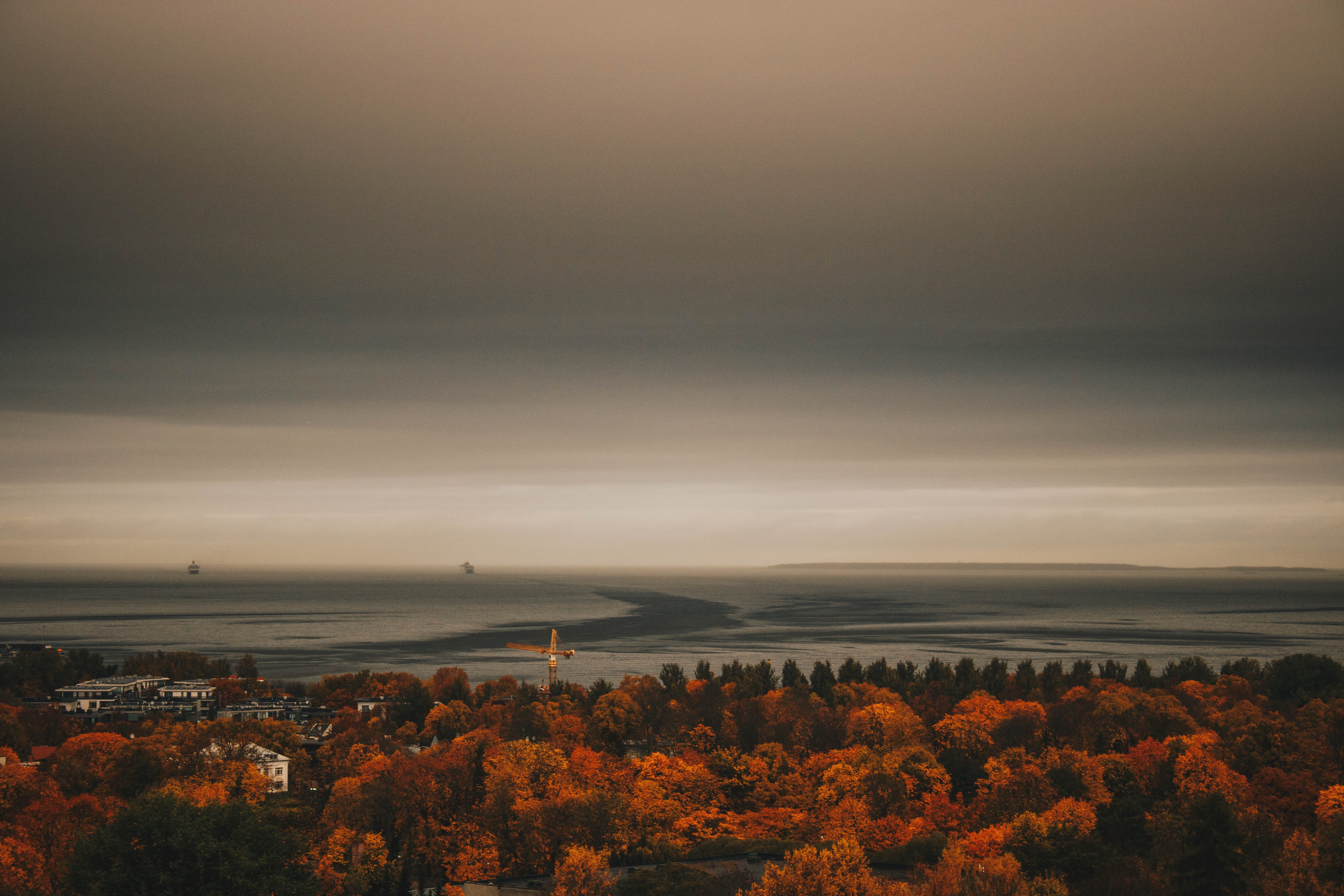 Overview Photo of Maple Trees, Aerial view, Sea, Water, Trees, HQ Photo