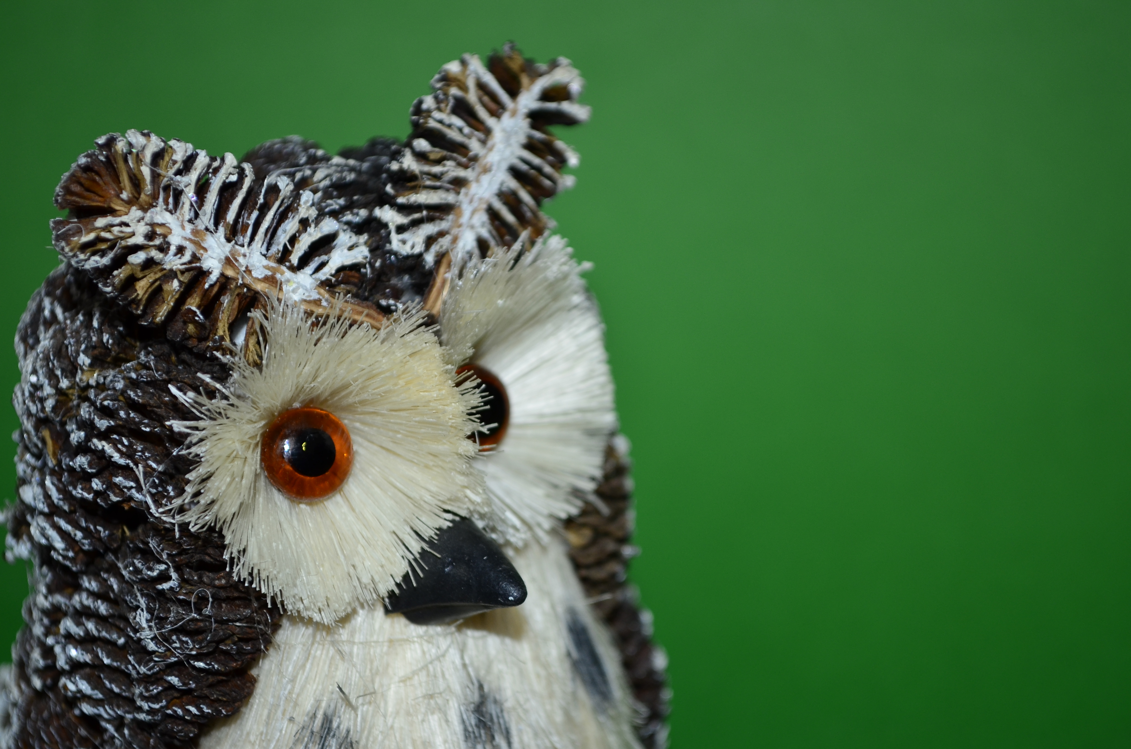 Owl, Beak, Bird, Closeup, Figure, HQ Photo