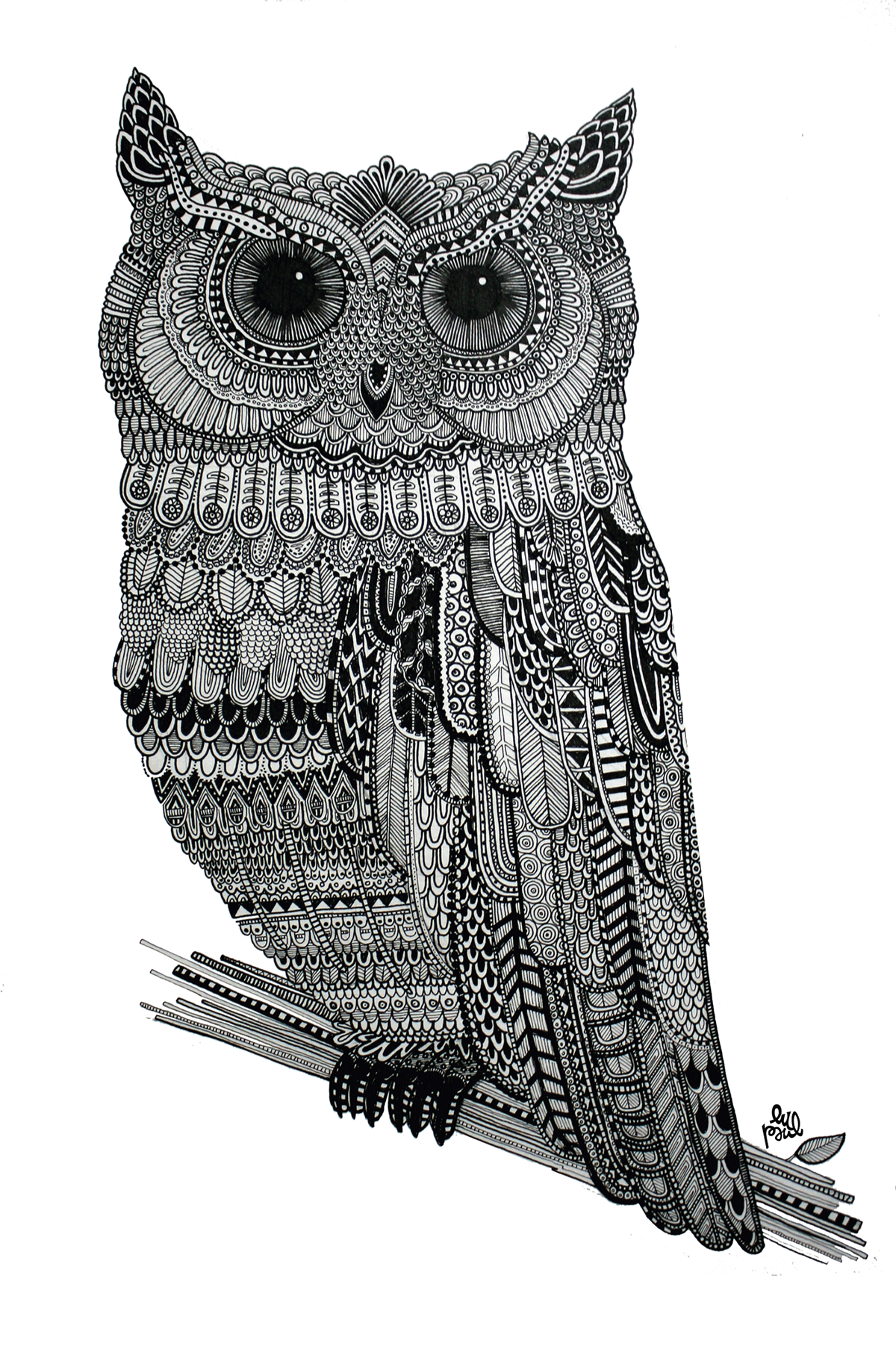 Owl Illustration 2.0 on Behance