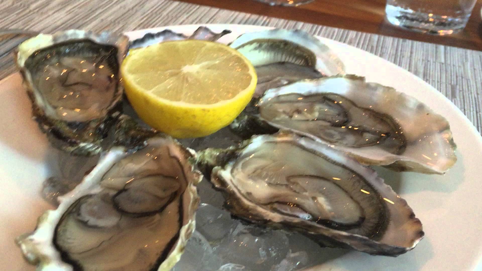 Oysters in France - A nice Plate with Oysters - Wine and fresh Bread ...