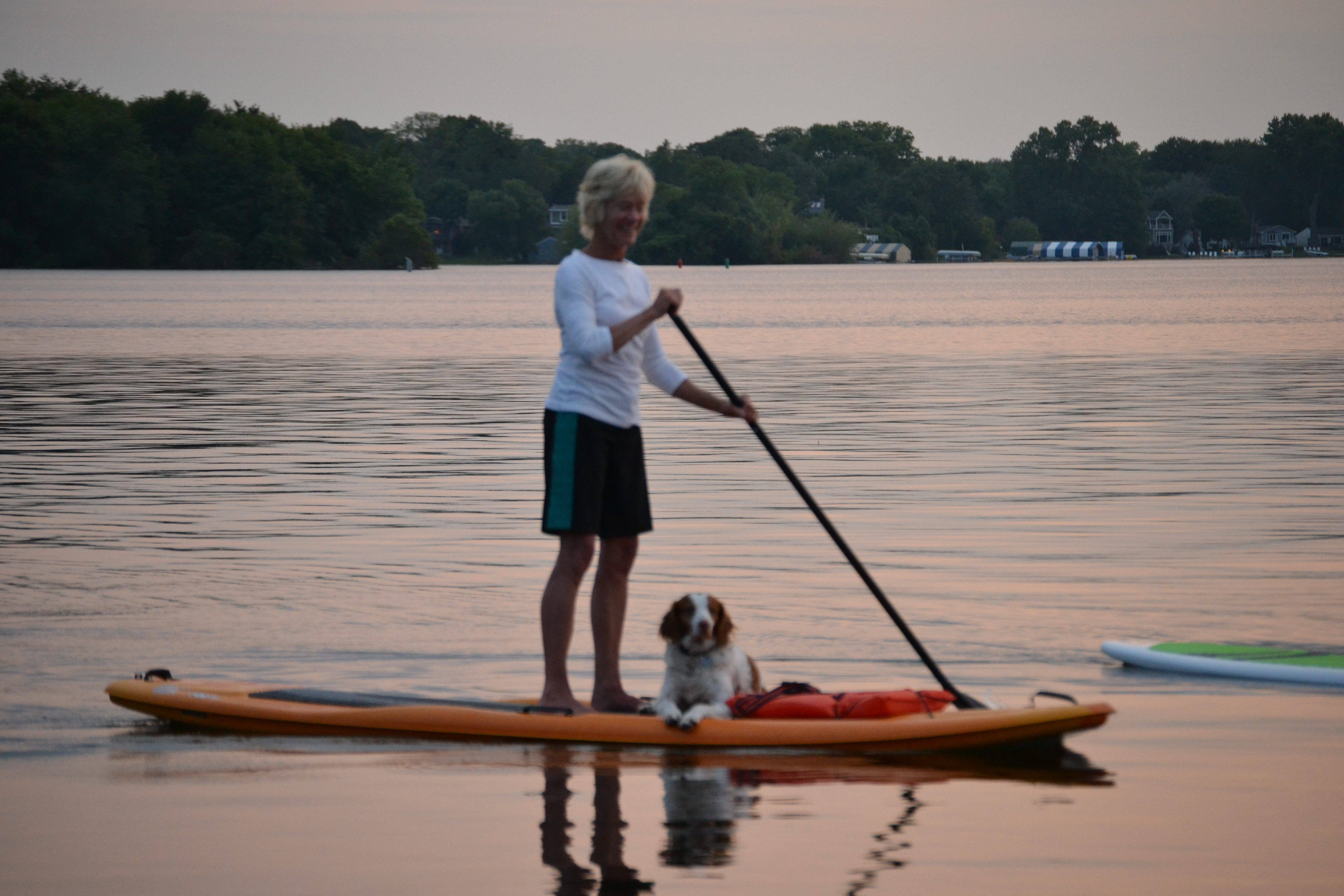 Paddle Boat Dog | Lake Minnetonka