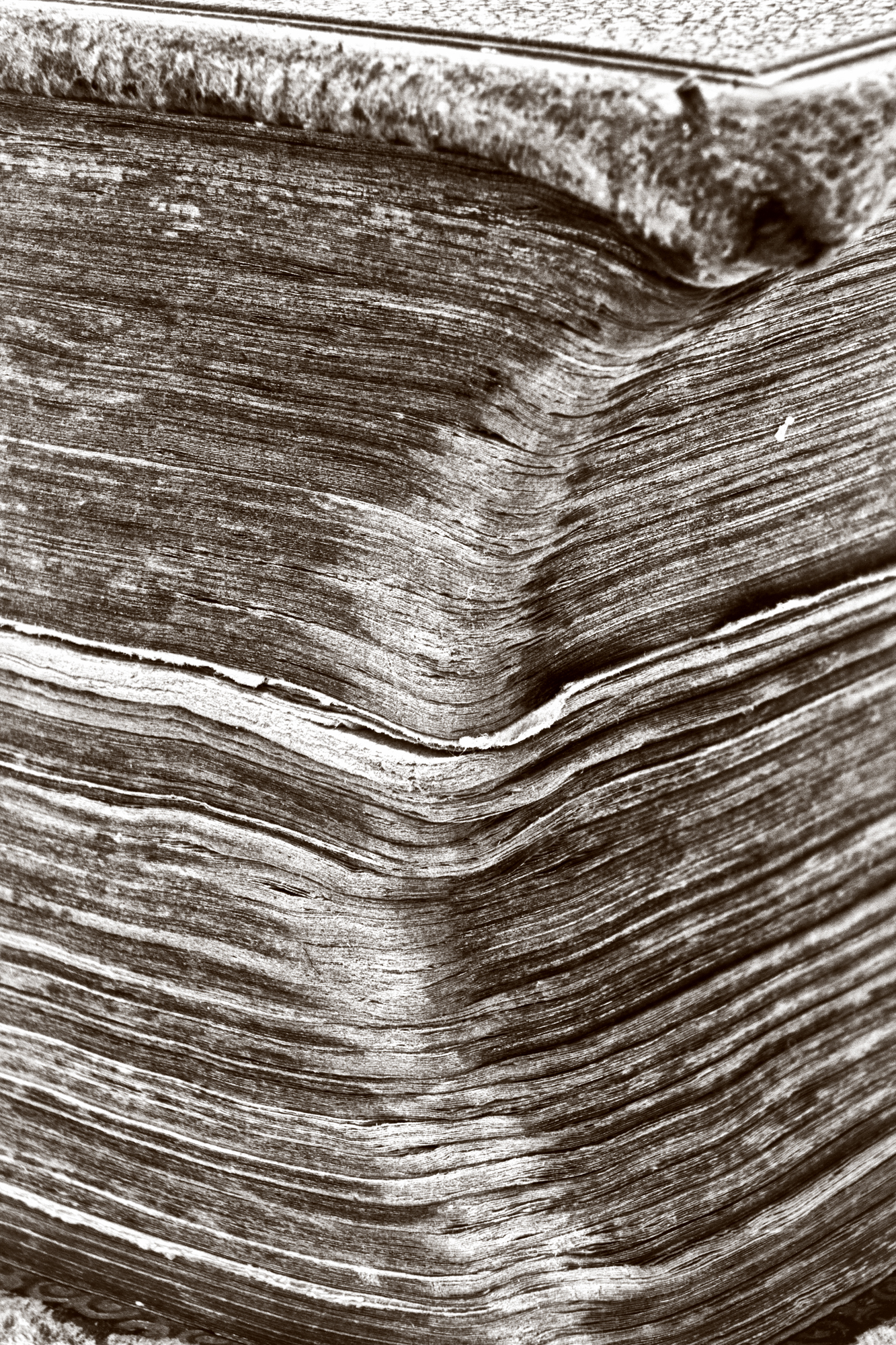 Pages of a book photo