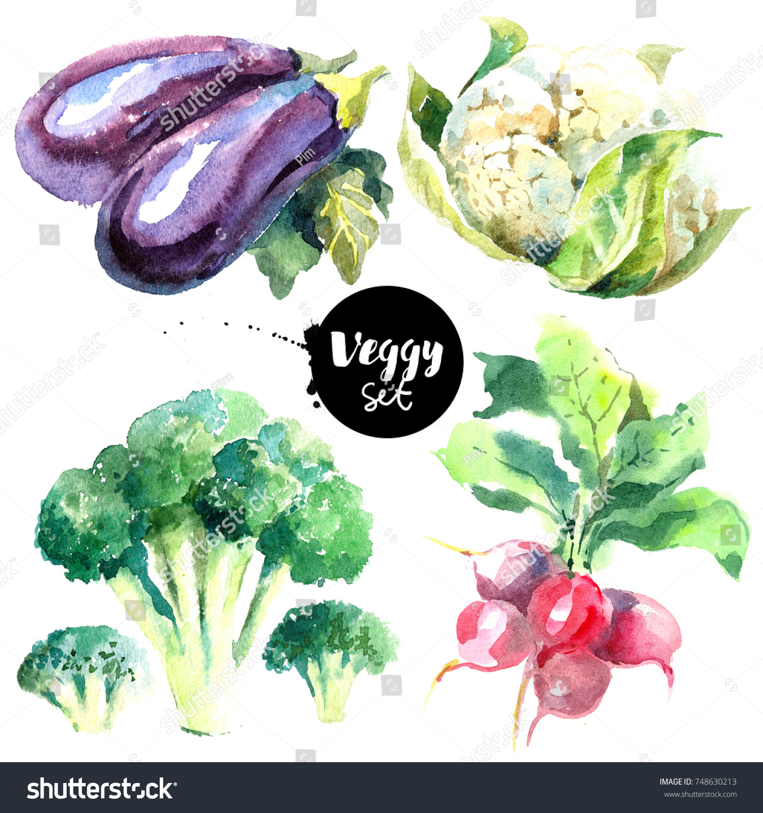 Watercolor Vegetables Set Painted Isolated Natural Stock ...