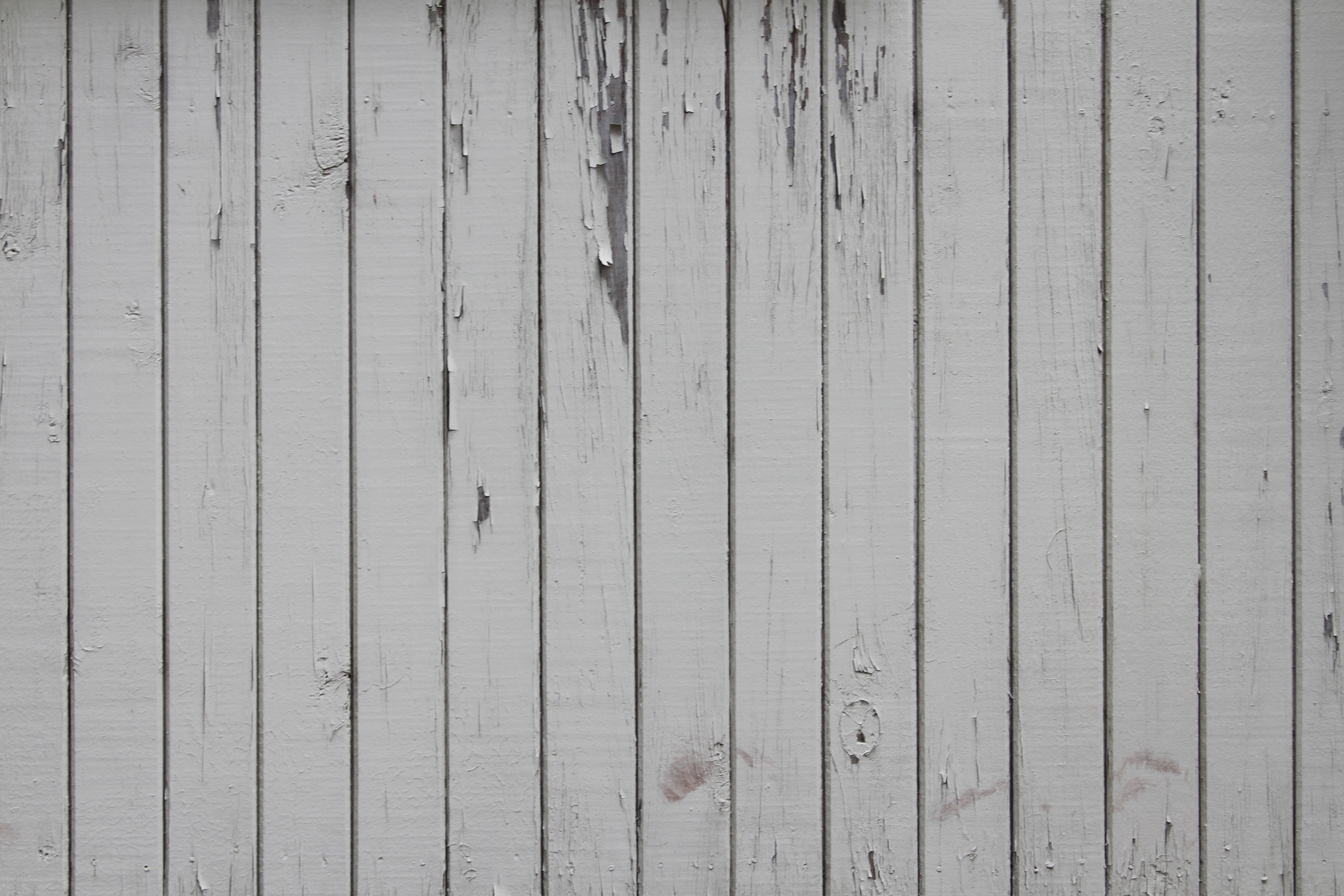 Chipped White Painted Wood Panel - 14Textures