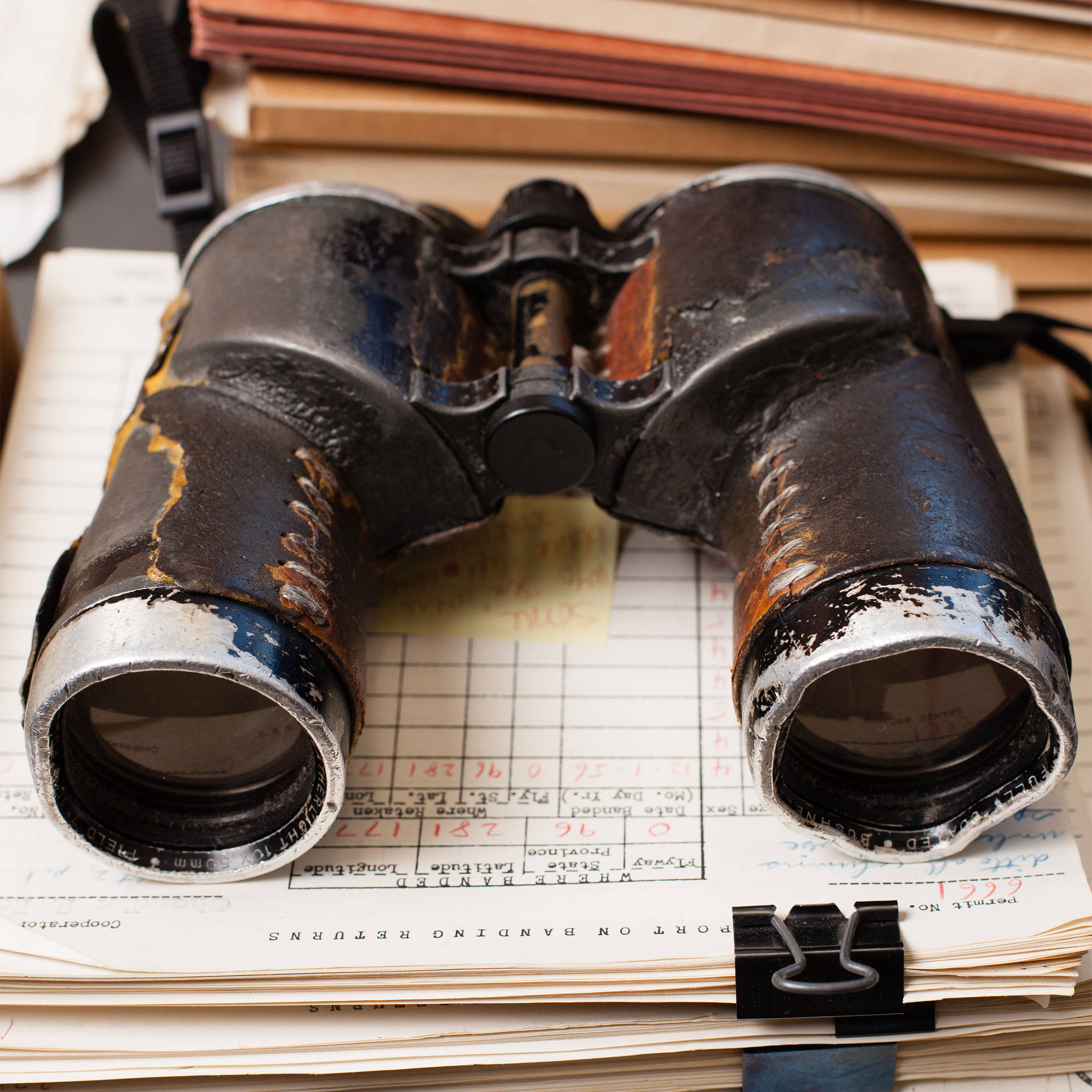 What to Do with Your Old Binoculars | Audubon