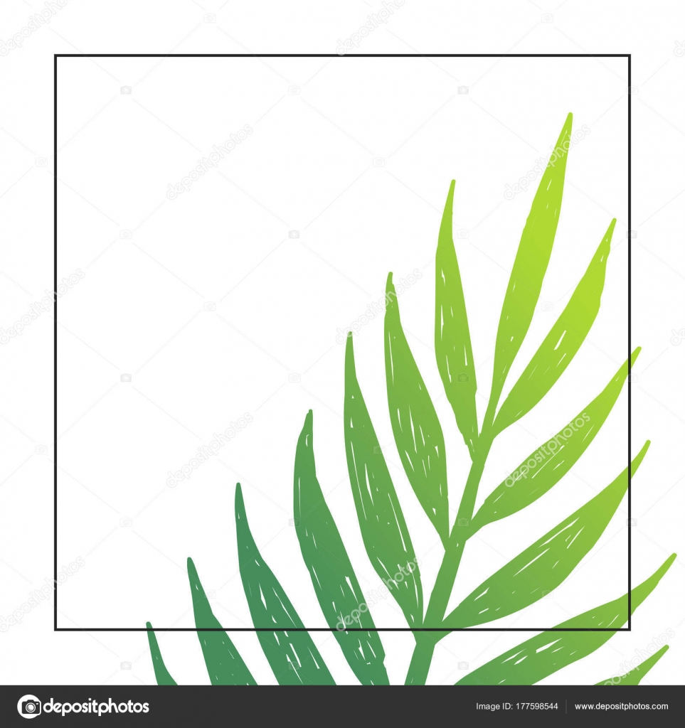 Palm leaf background. — Stock Vector © kondratya #177598544