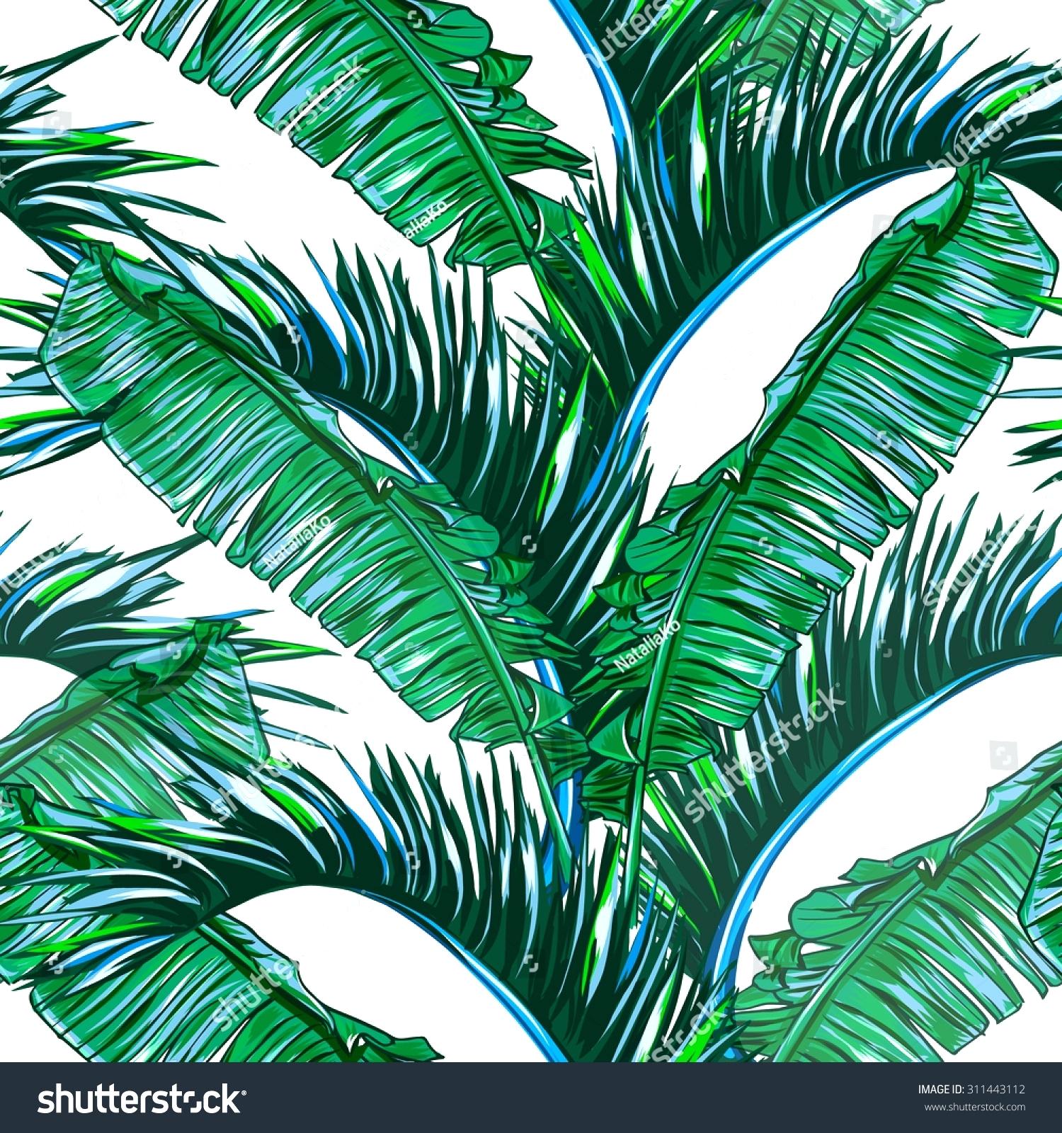 Palm Leaves Wallpaper Leaf Background I 1 4 2 Wallpapers – Kargo