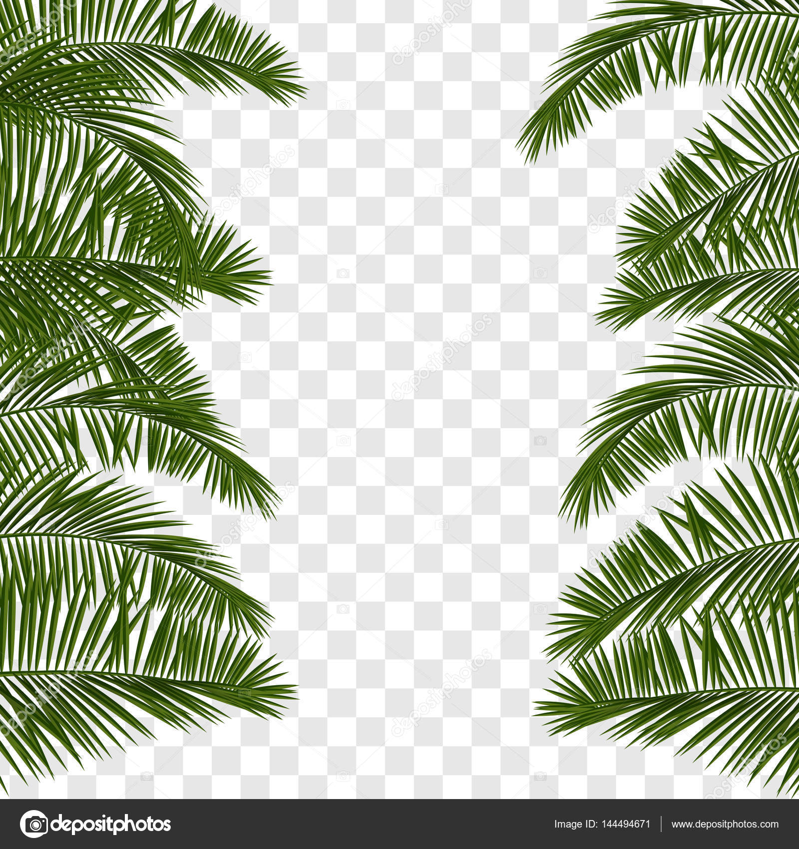Summer green palm leaf transparent — Stock Vector © helen.tosh ...
