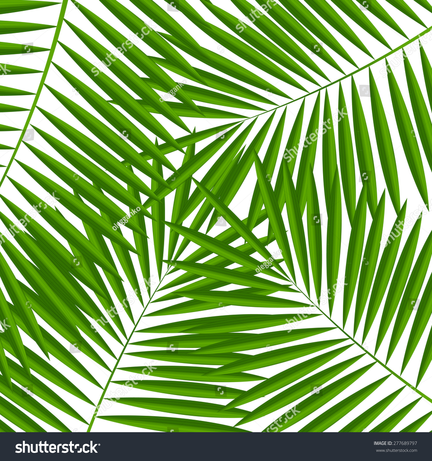 Palm Leaf Background Vector Illustration Stock Vector 277689797 ...