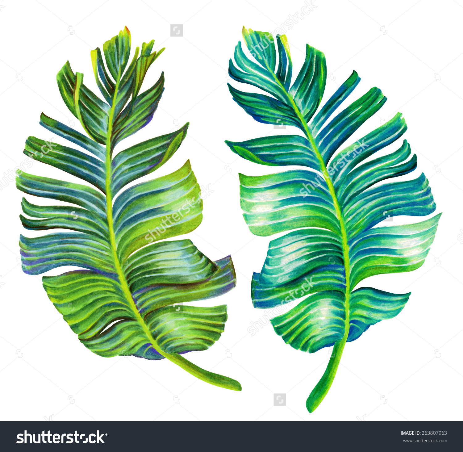 Palm Tree Leaves Drawing at GetDrawings.com | Free for personal use ...