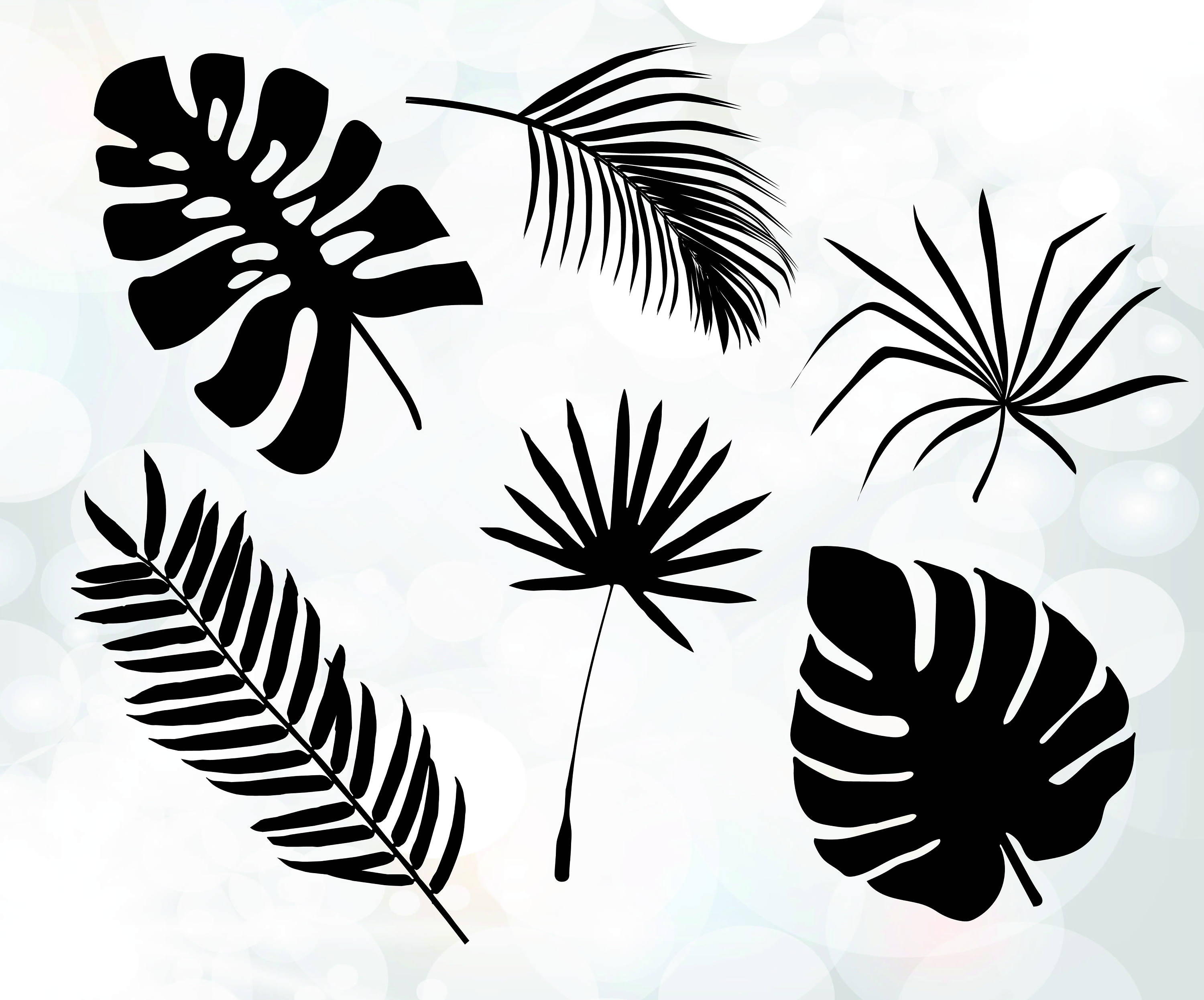 Palm Leaves Cuttable Design Tree leaves svg Tropical svg