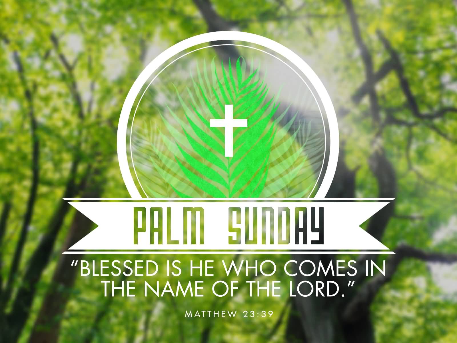 Palm Sunday Blessed Is He Who Comes In The Name Of The Lord