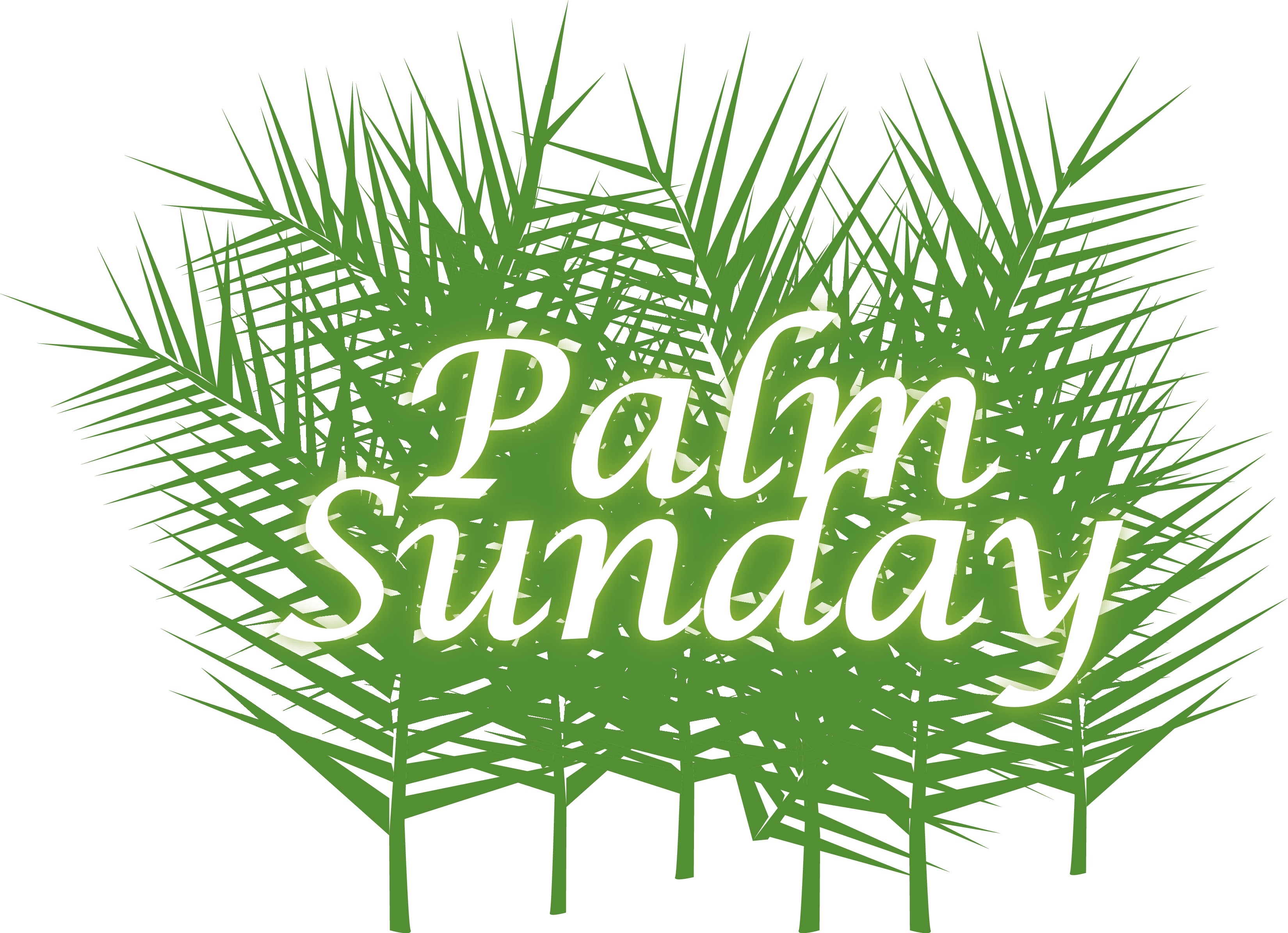 Palm sunday photos found on the web.