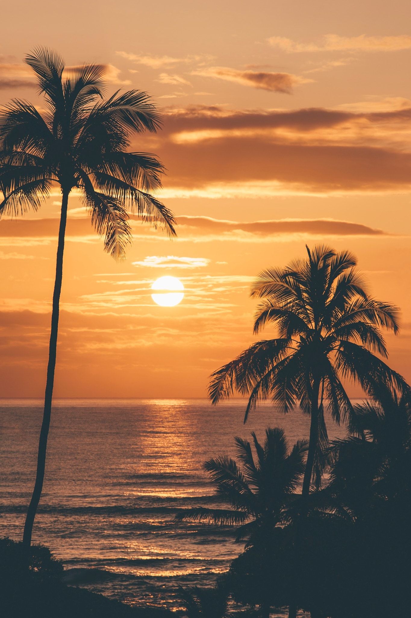 Sunrise in Kauai - | Natures Beauty | Pinterest | Sunset, Palm and ...