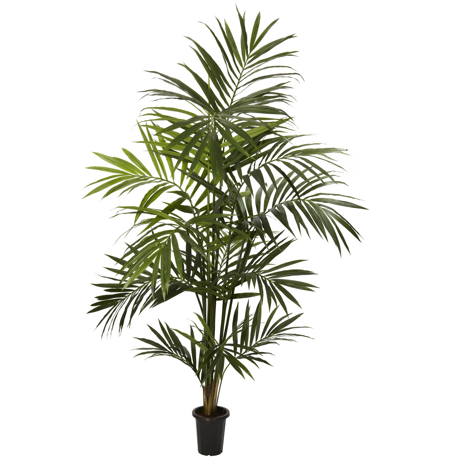 Nearly Natural Kentia Palm Tree in Pot & Reviews | Wayfair