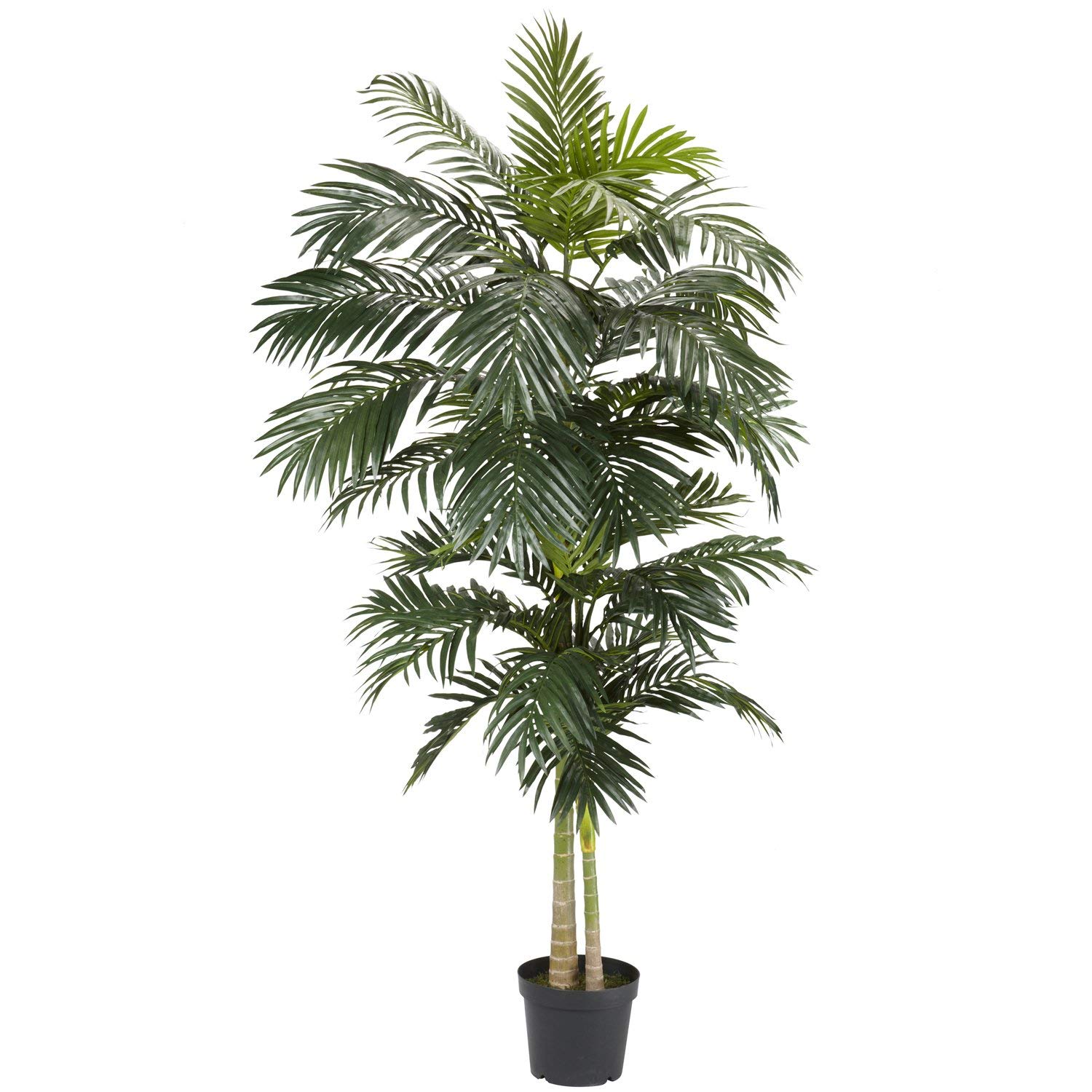 Amazon.com: Nearly Natural 5326 Golden Cane Palm Silk Tree, 8-Feet ...