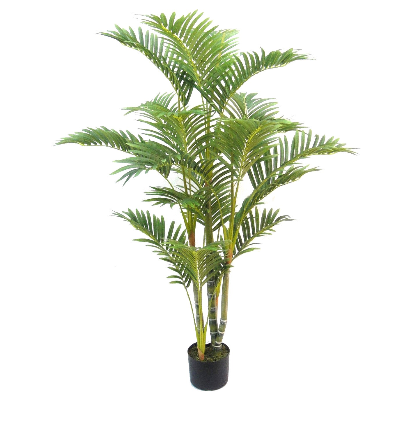 Artificial Kentia Palm From Evergreen Direct