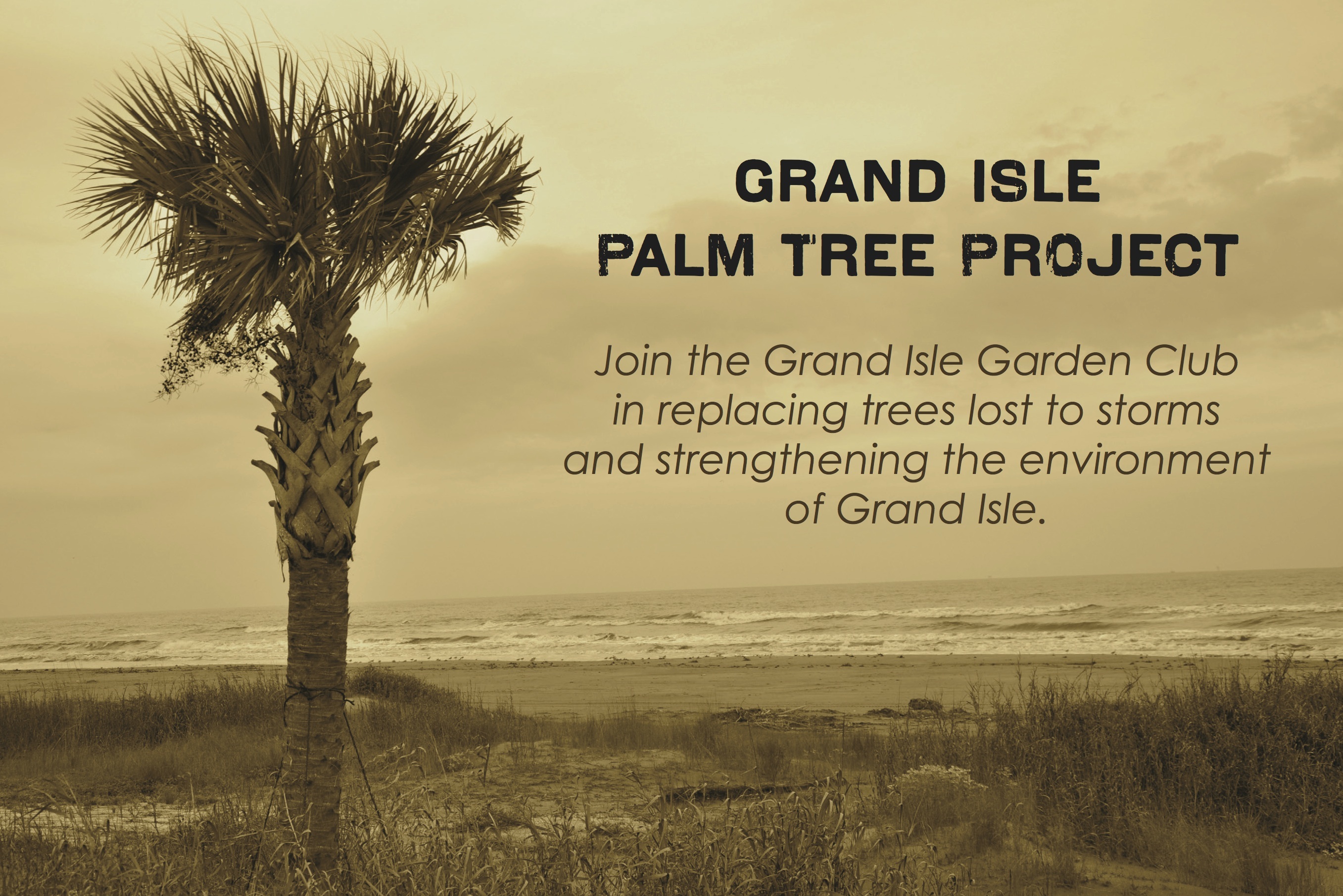 Grand Isle Palm Tree Project - Grand Isle