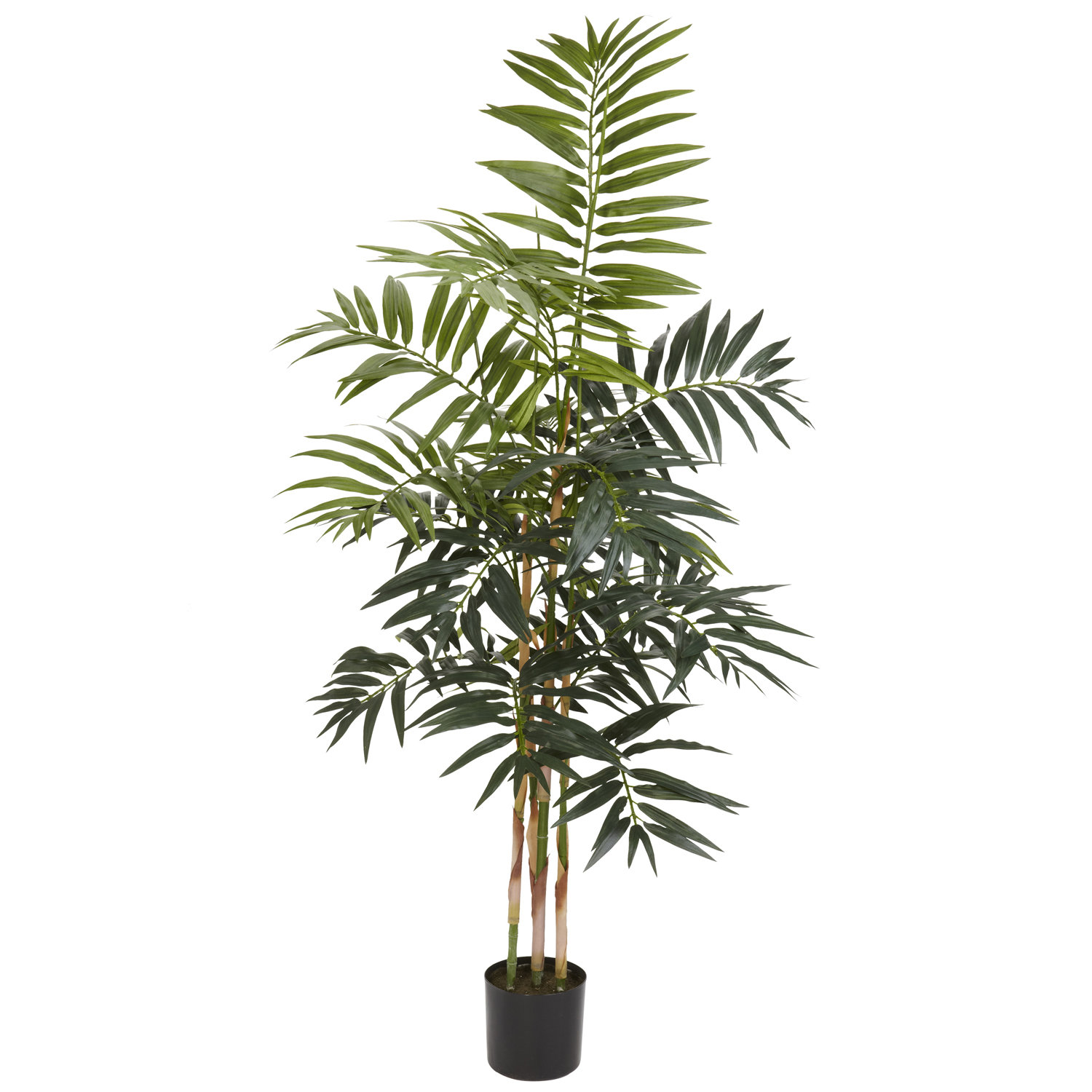 Nearly Natural Bamboo Palm Tree in Pot & Reviews | Wayfair