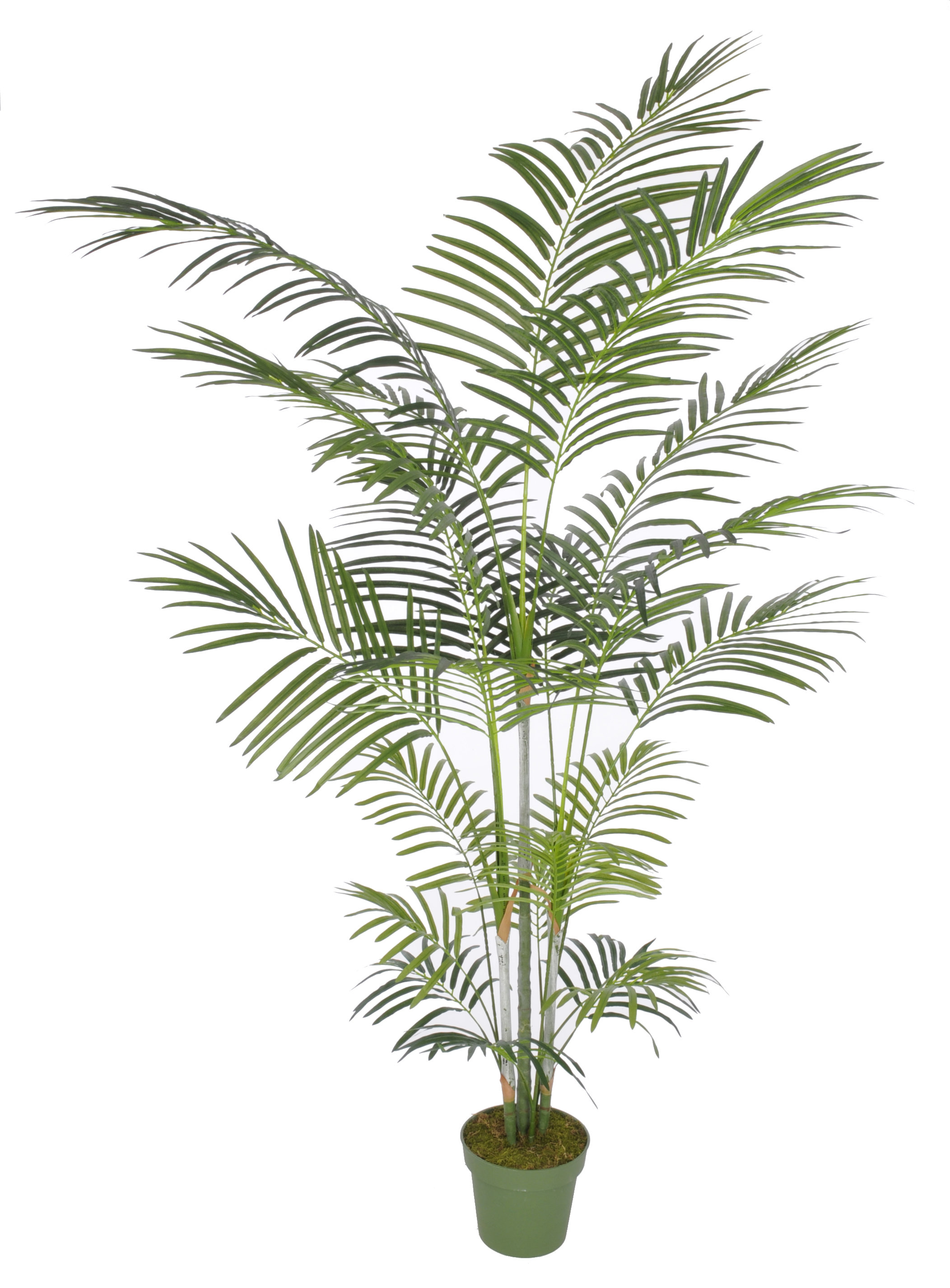 Artificial Areca Palm Tree Floor Silk Plant in Planter & Reviews ...