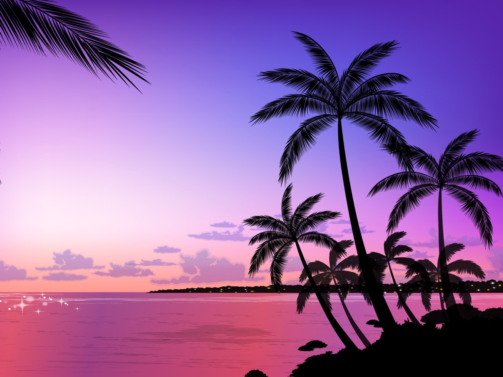 Palm Tree Wallpapers and Background Images - stmed.net
