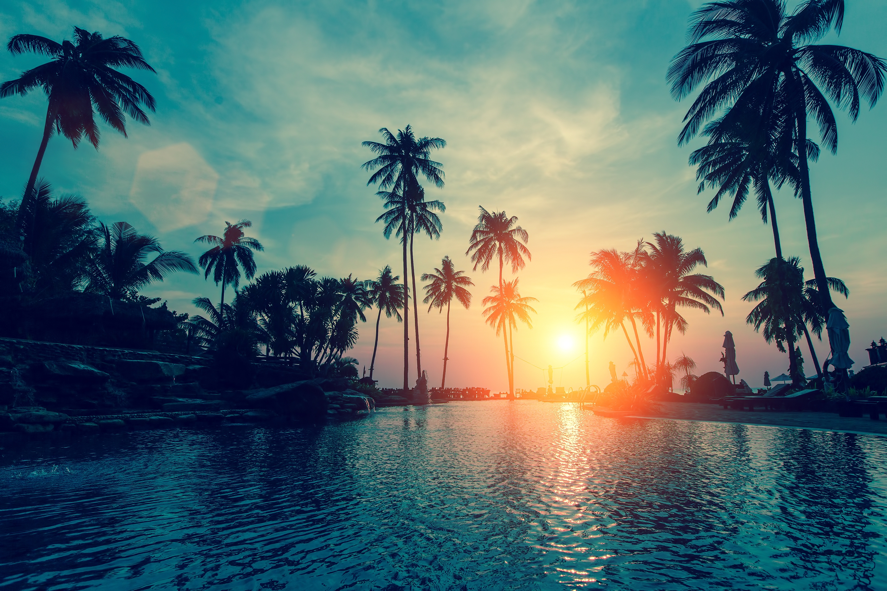 Luxury Tropical Beaches with Palm Trees Wallpapers | The Most ...