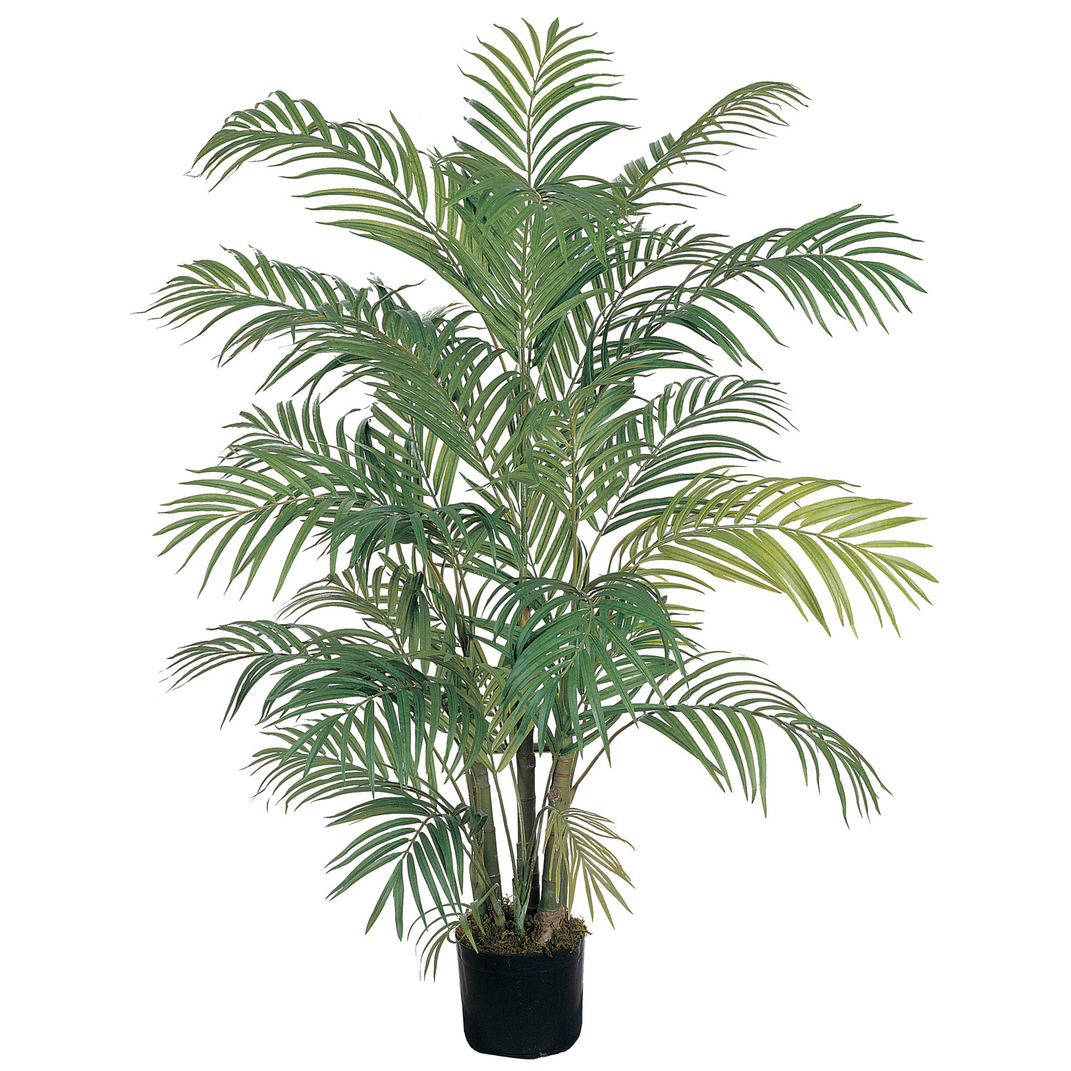 4' Areca Silk Palm Tree - Silk Specialties