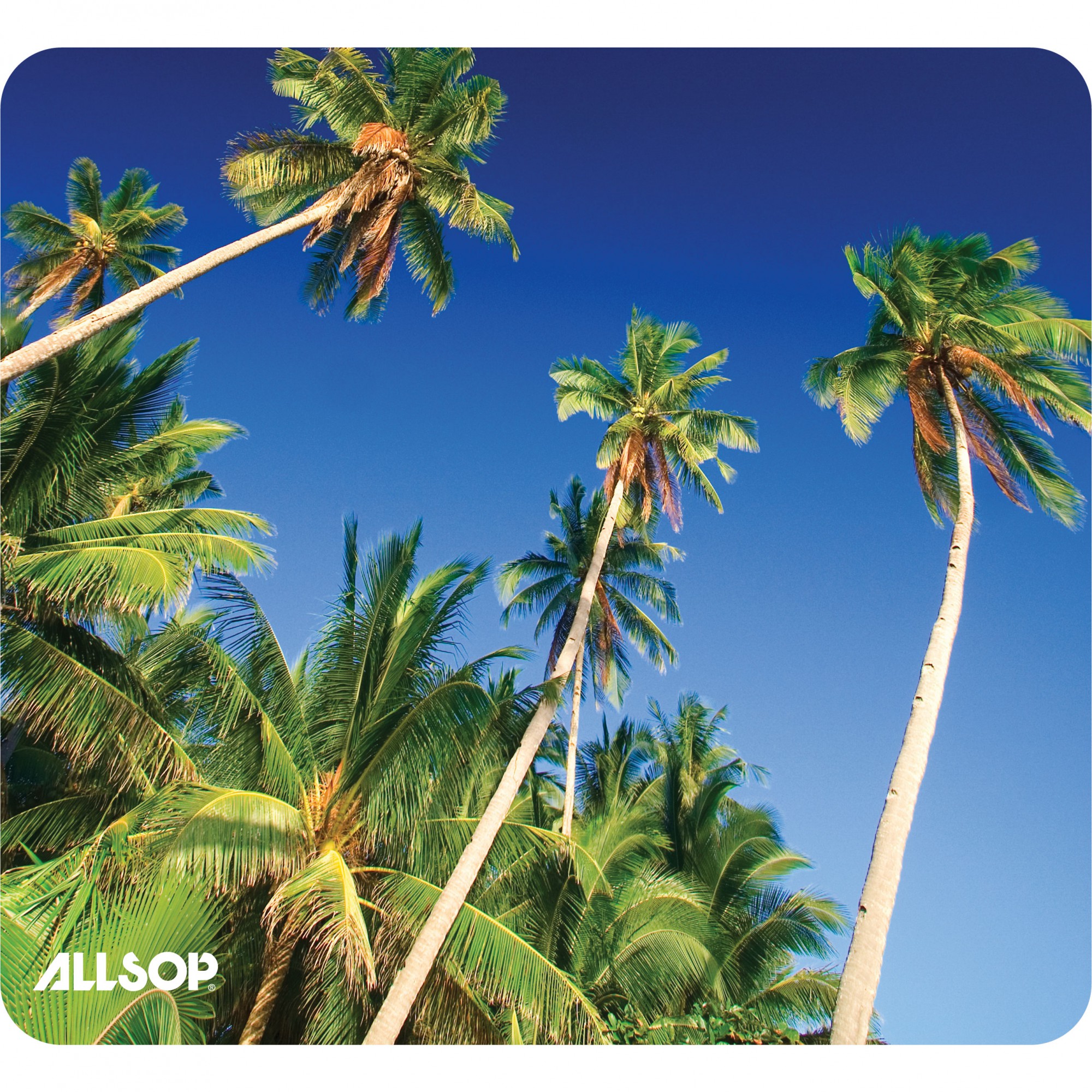 NatureSmart Image Mousepad – Palm Trees – (31427) – Allsop