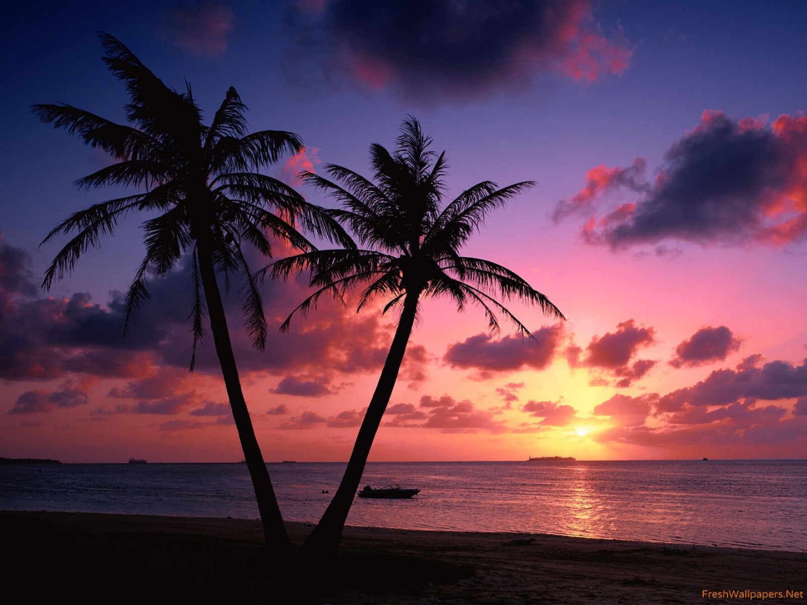 Tropical Beach Palm Trees Sunset wallpapers | Freshwallpapers