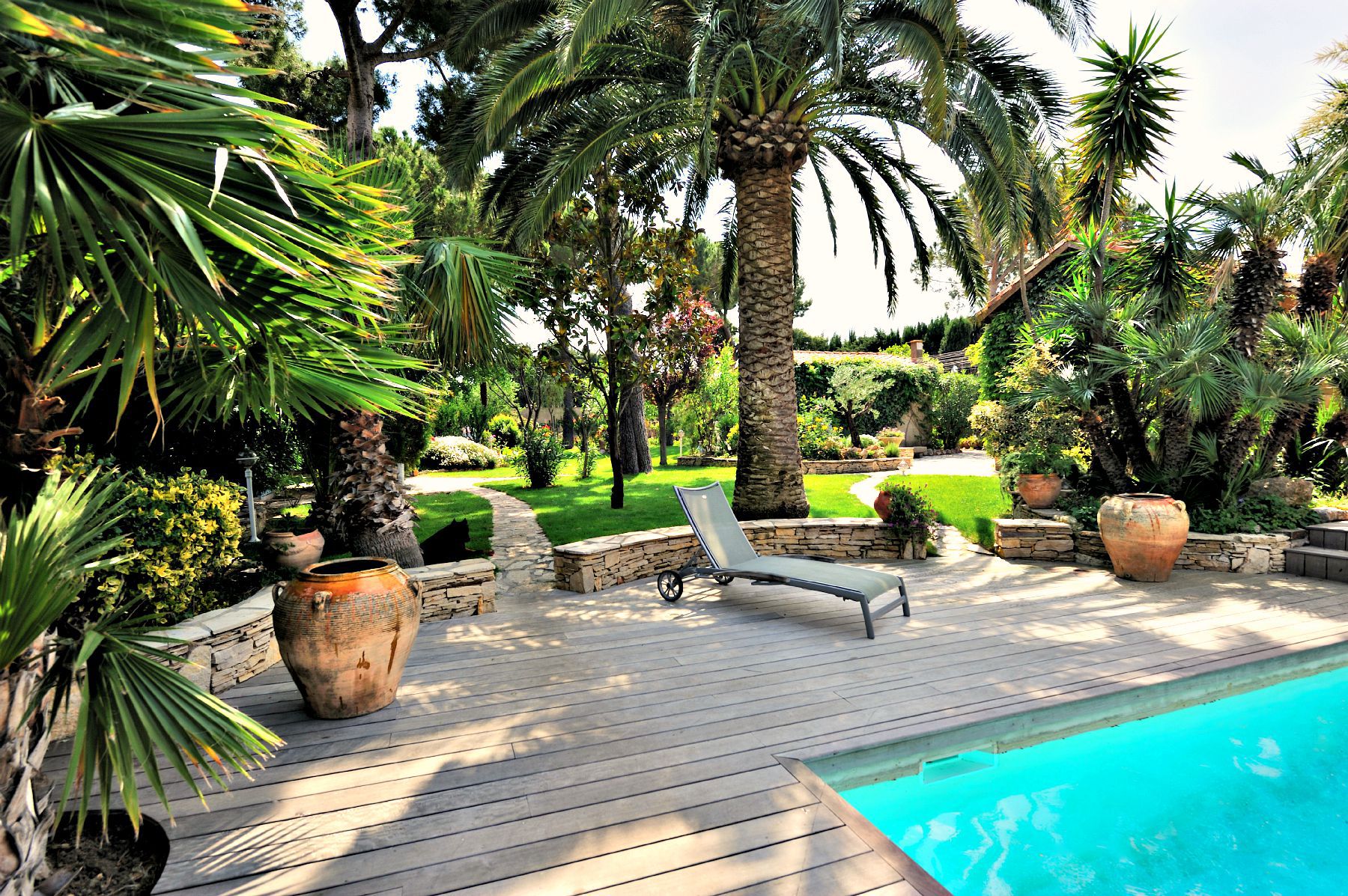 Palm Trees Bring the Tropics to Your Home - Palmates