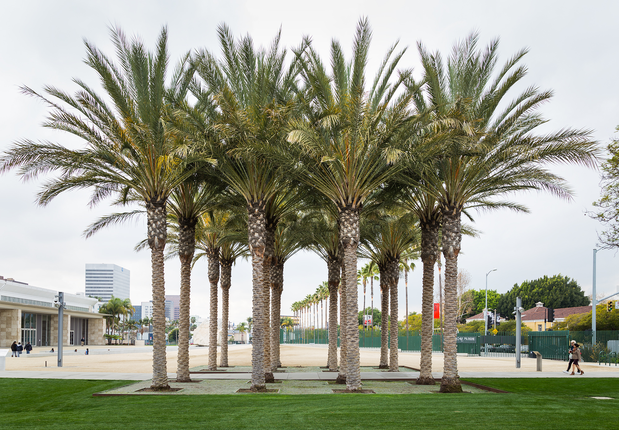 Robert Irwin's Palms | Unframed