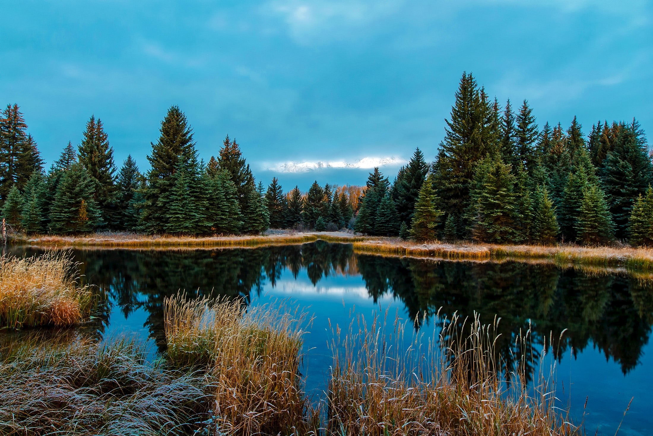 Panoramic view of lake in forest photo