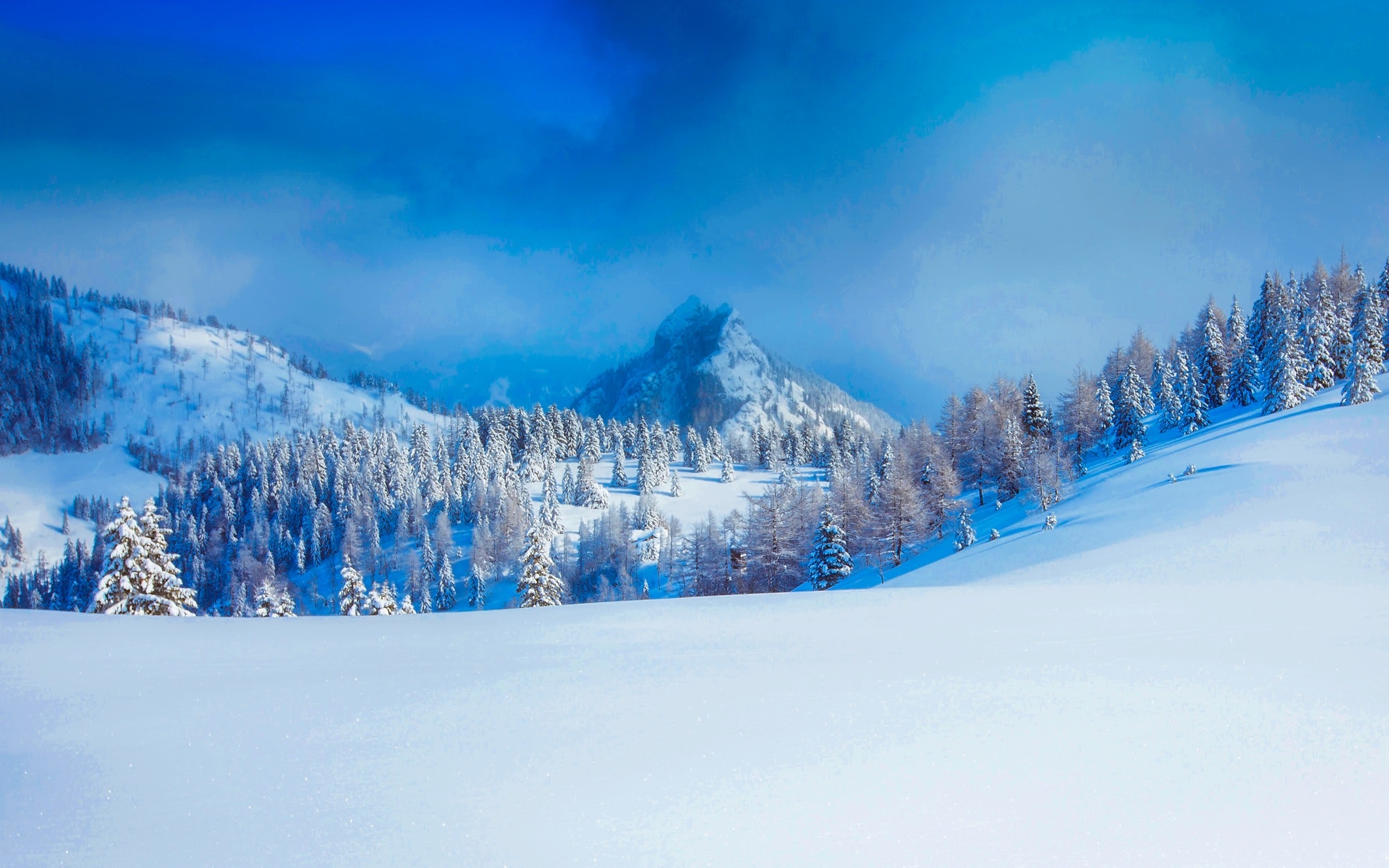 Panoramic view of trees on snow covered landscape photo
