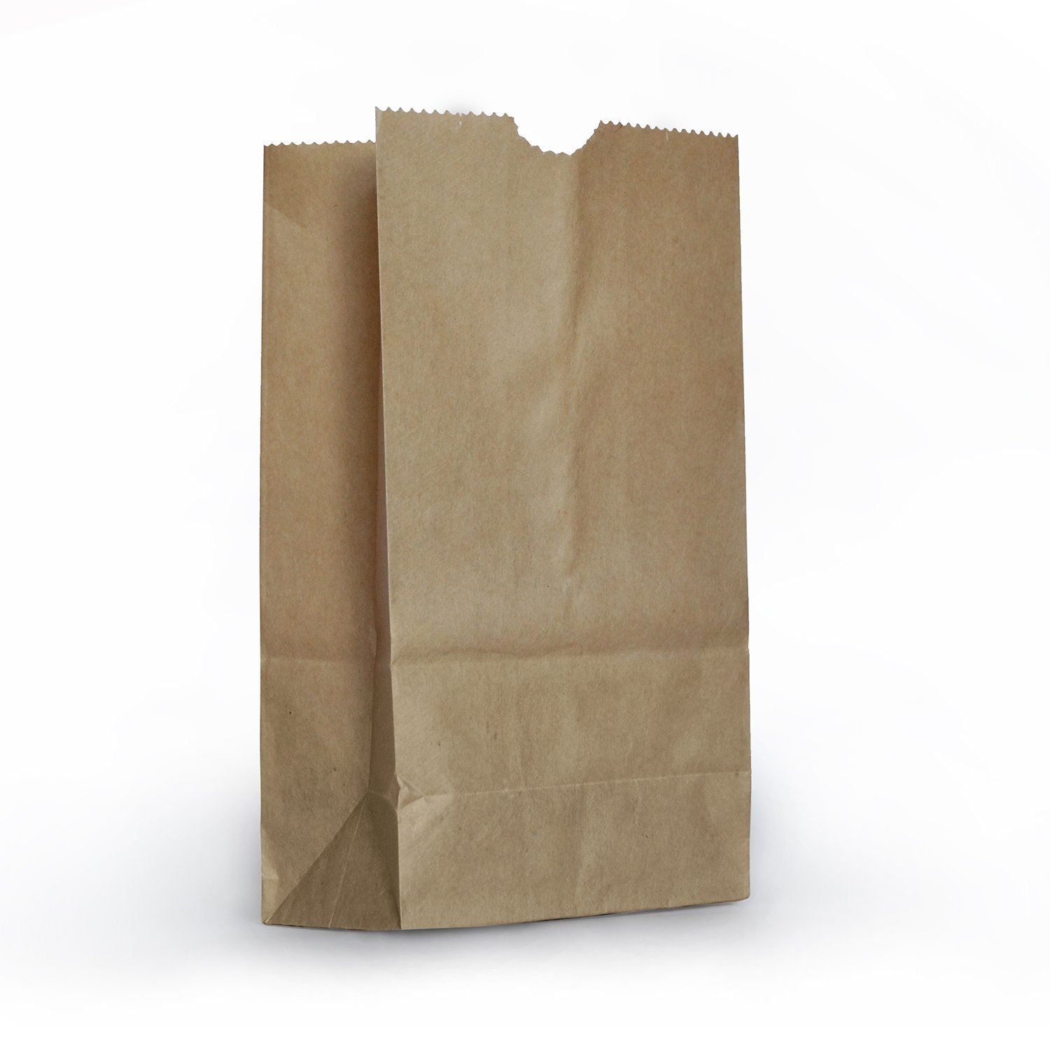 Amazon.com: 1 X Small Brown Paper Bags - 100 Pack