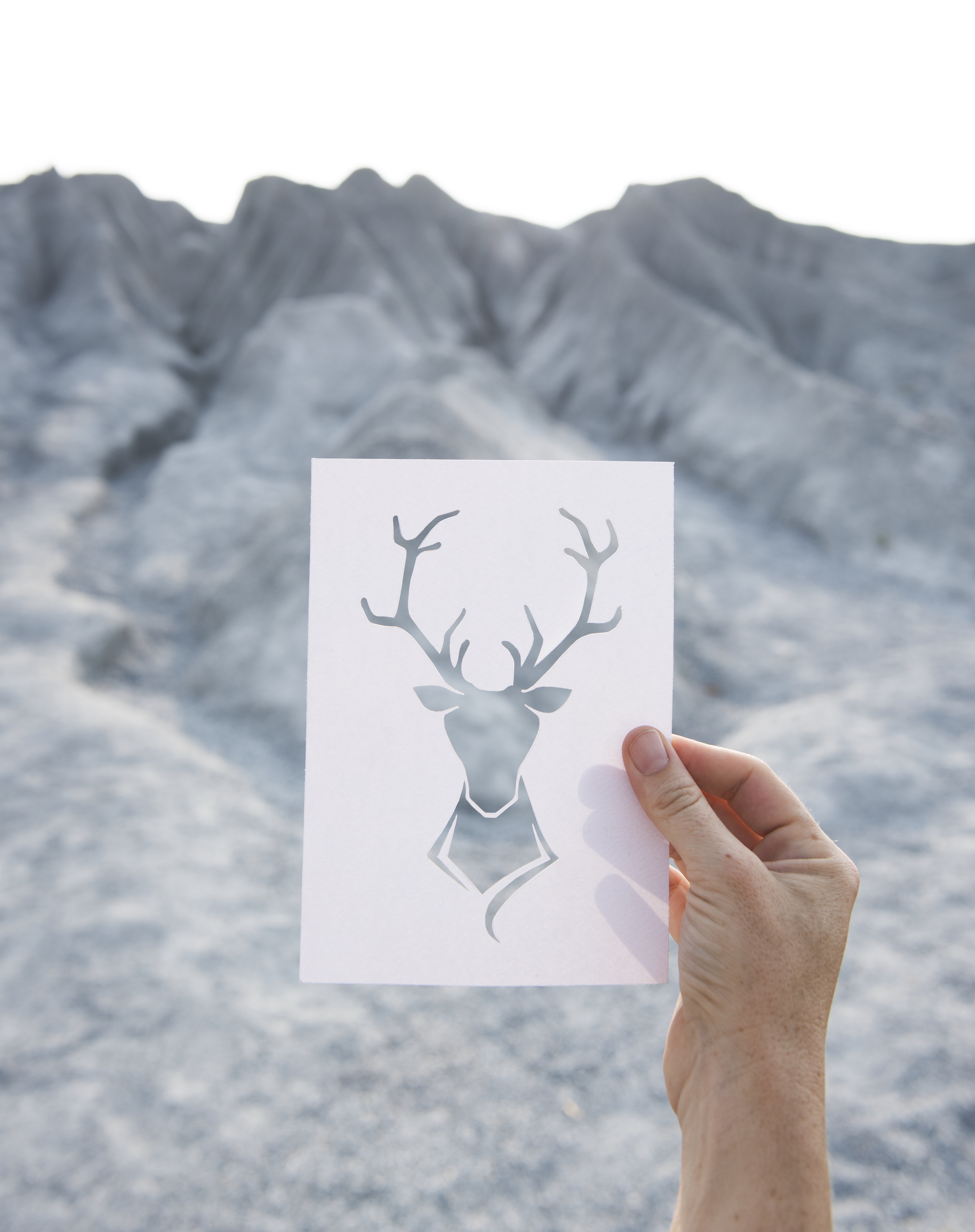 Paper deer photo