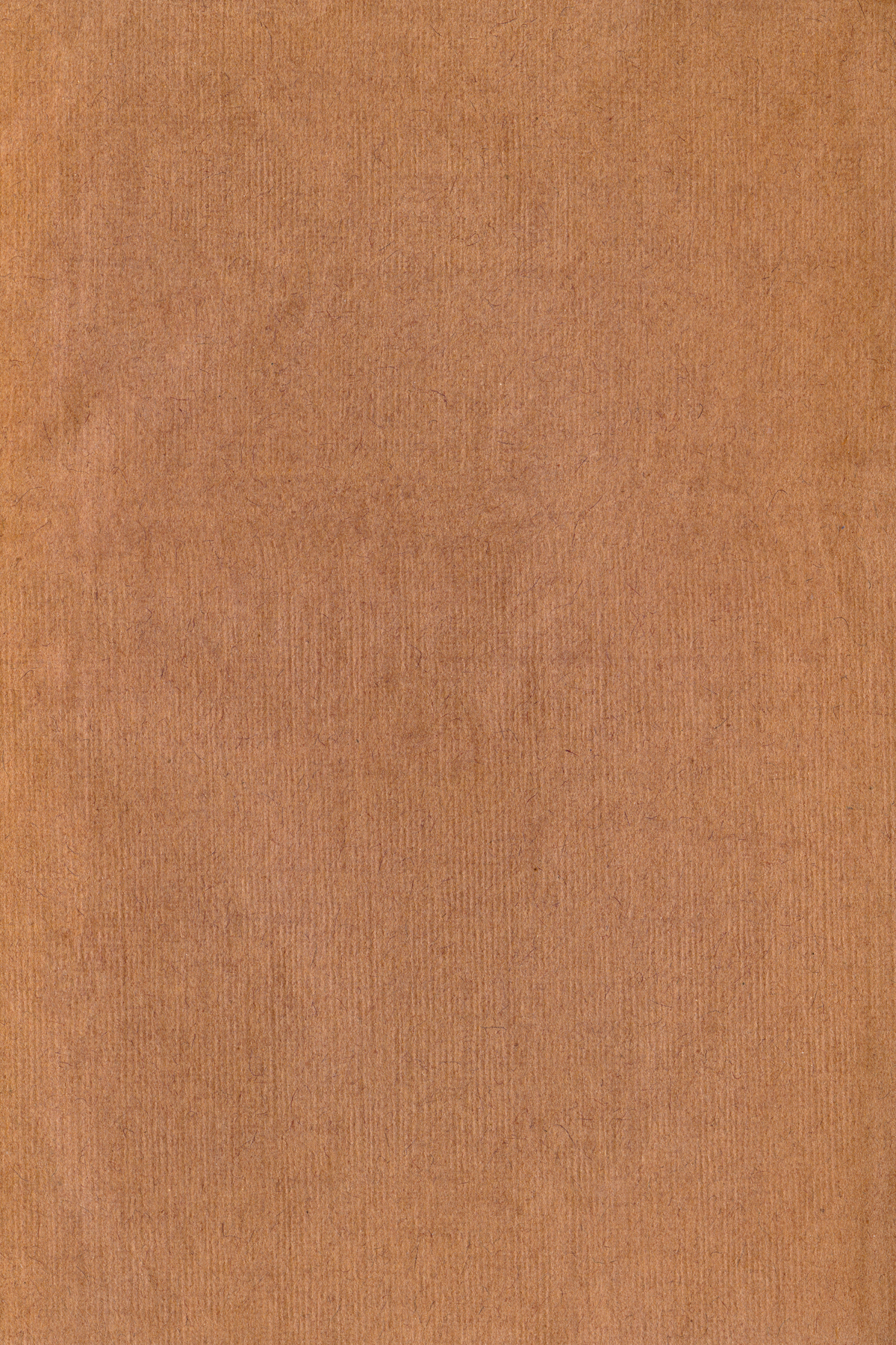 Paper texture - brown canvas photo