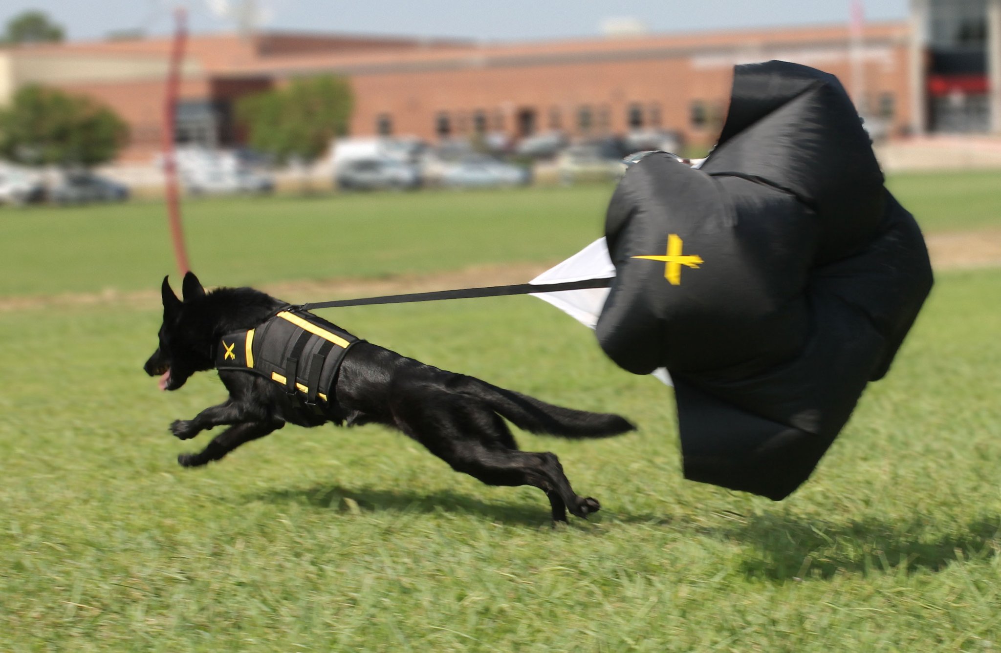 XDOG™ Dog Parachute Attachment for XDOG Vest