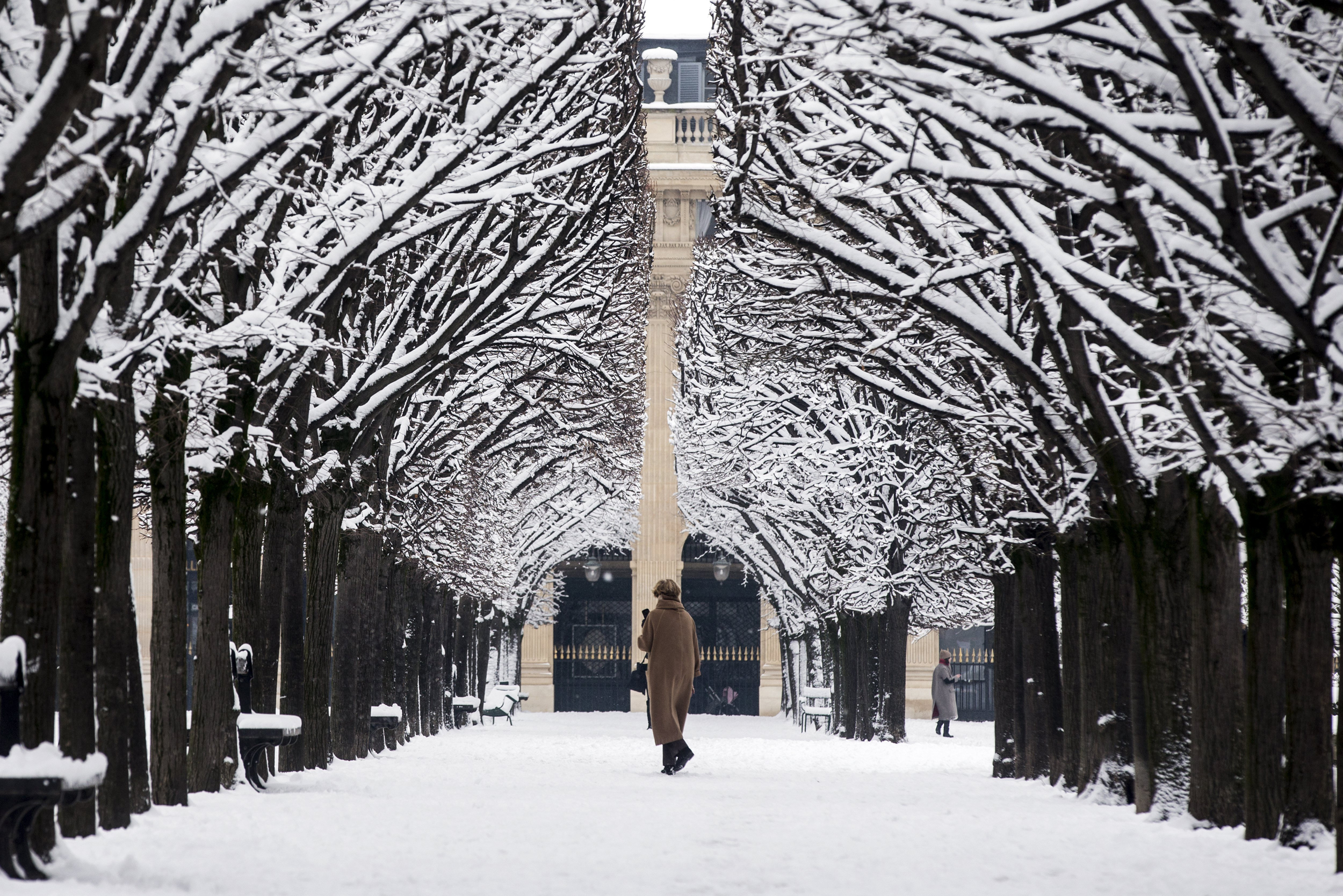 Rare snow brings Paris to scenic standstill