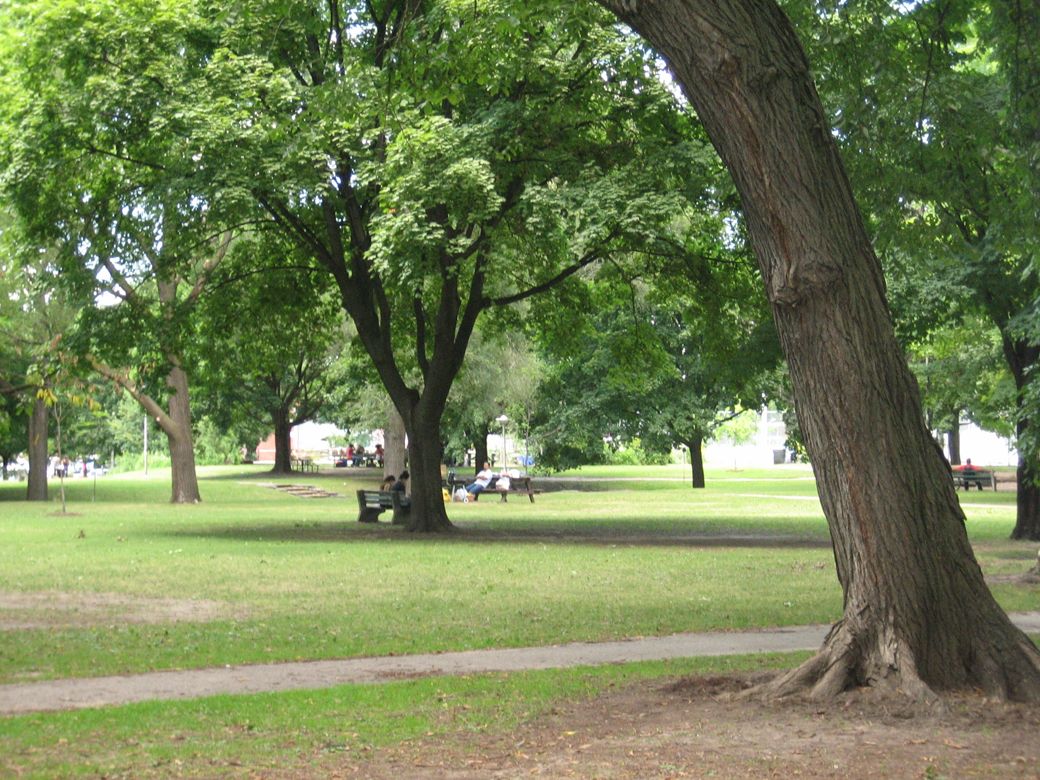 File:Dufferin Grove Park.jpg - Wikimedia Commons