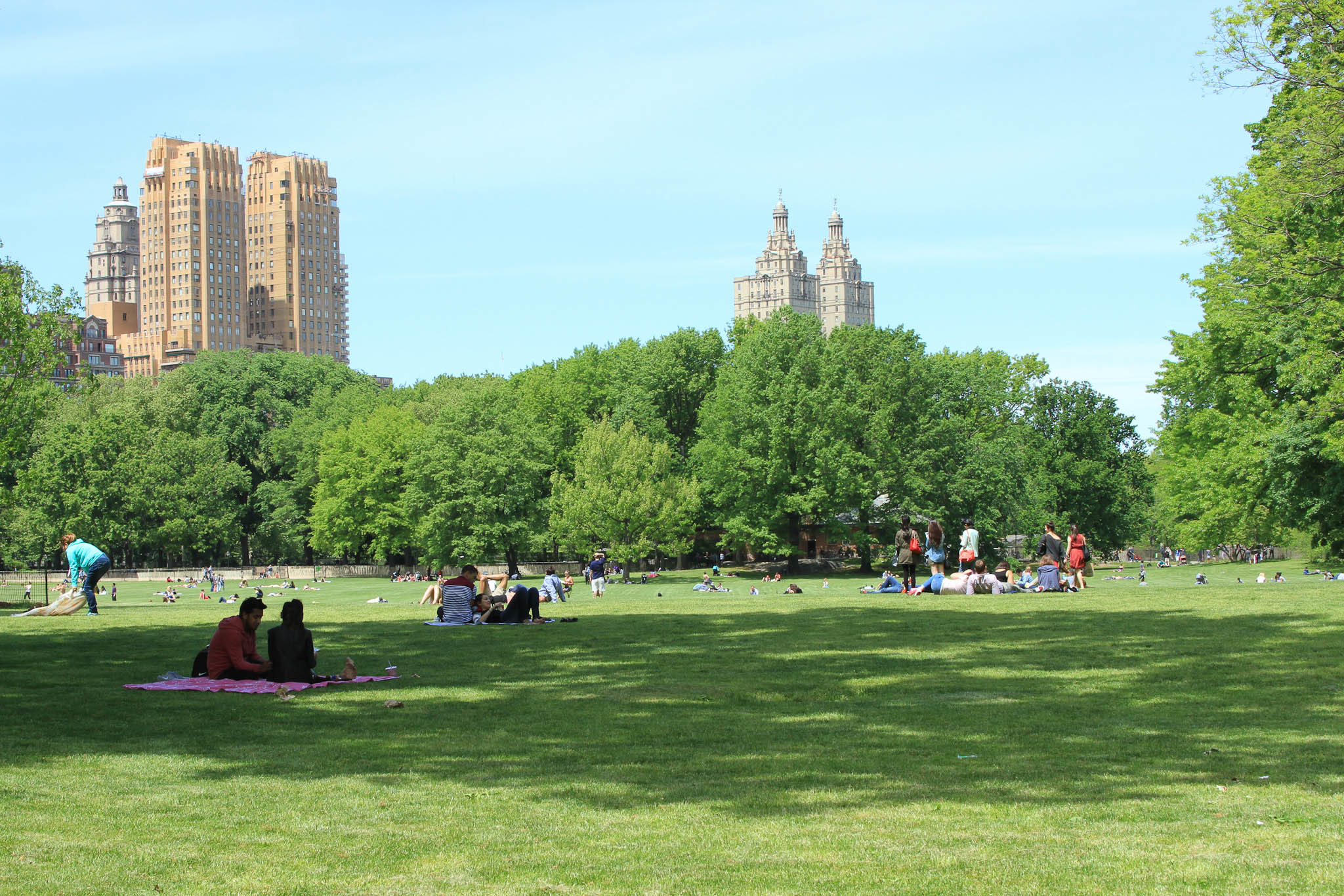 The Best Parks in NYC for Sports, Concerts, Picnics and More