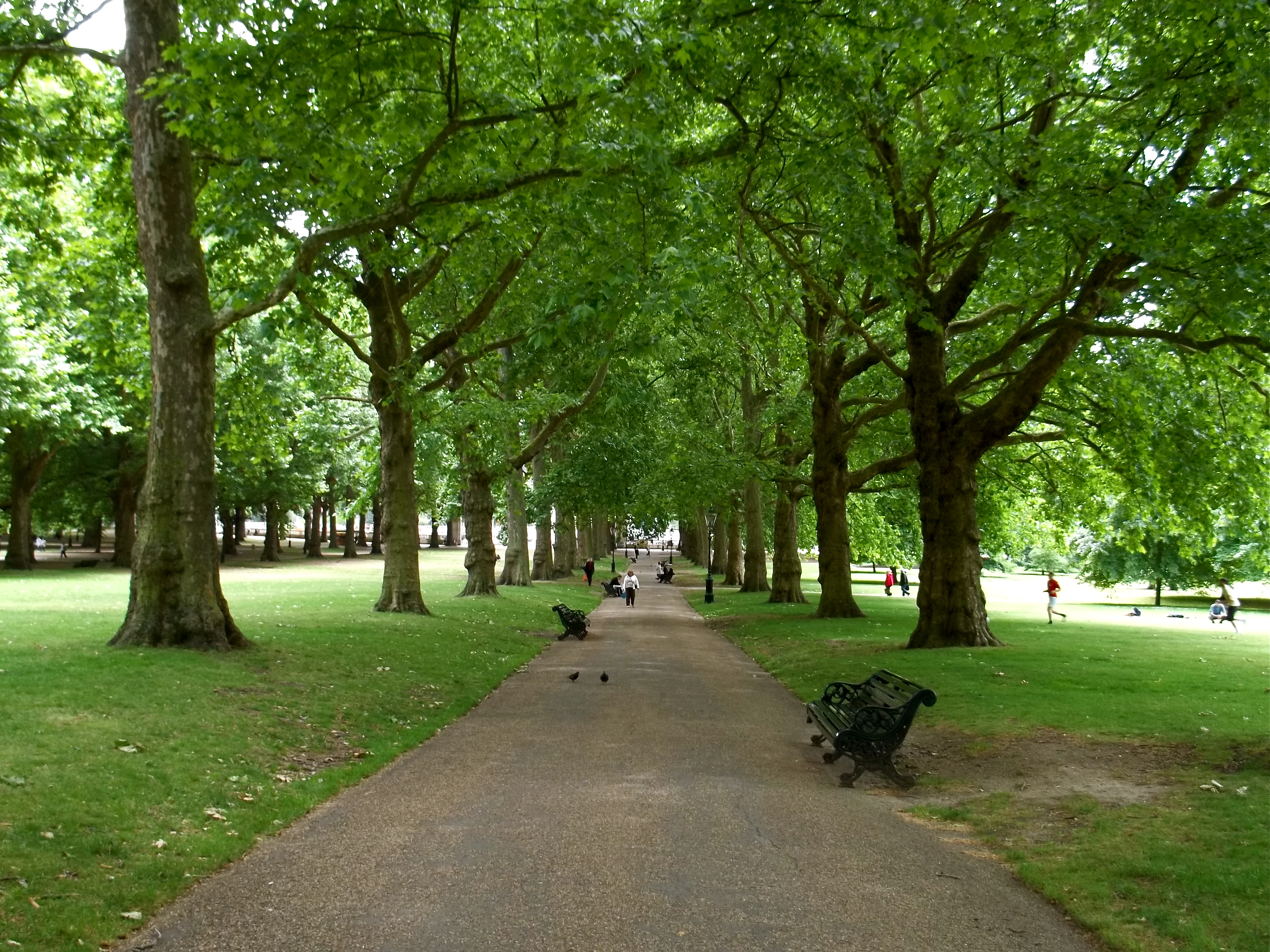 Green Park – C.B. Wentworth