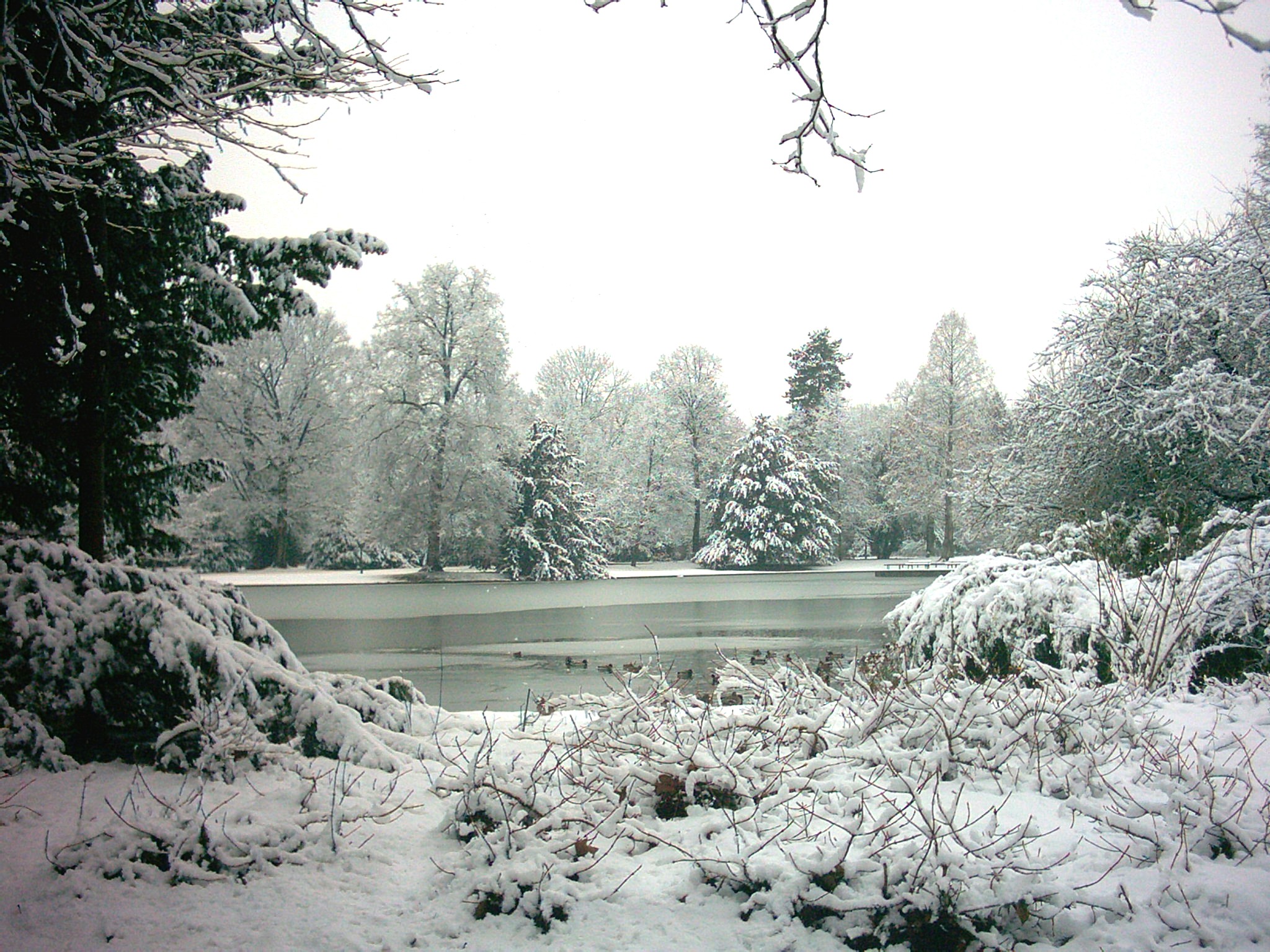 File:Karlsruhe park in winter 04022006.jpg - Wikimedia Commons