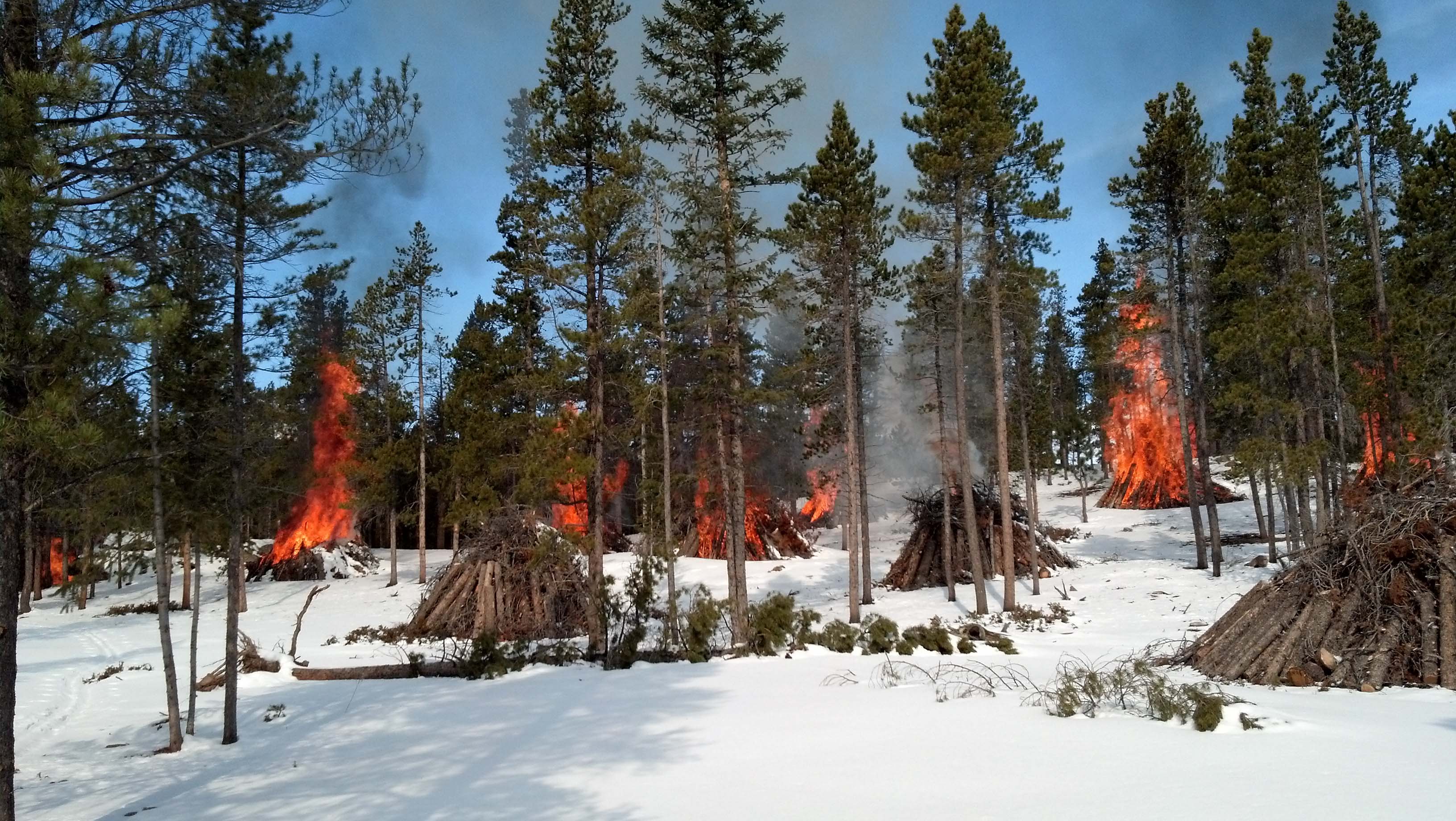 Rocky Mountain National Park Announces 2017 Winter Pile Burning ...