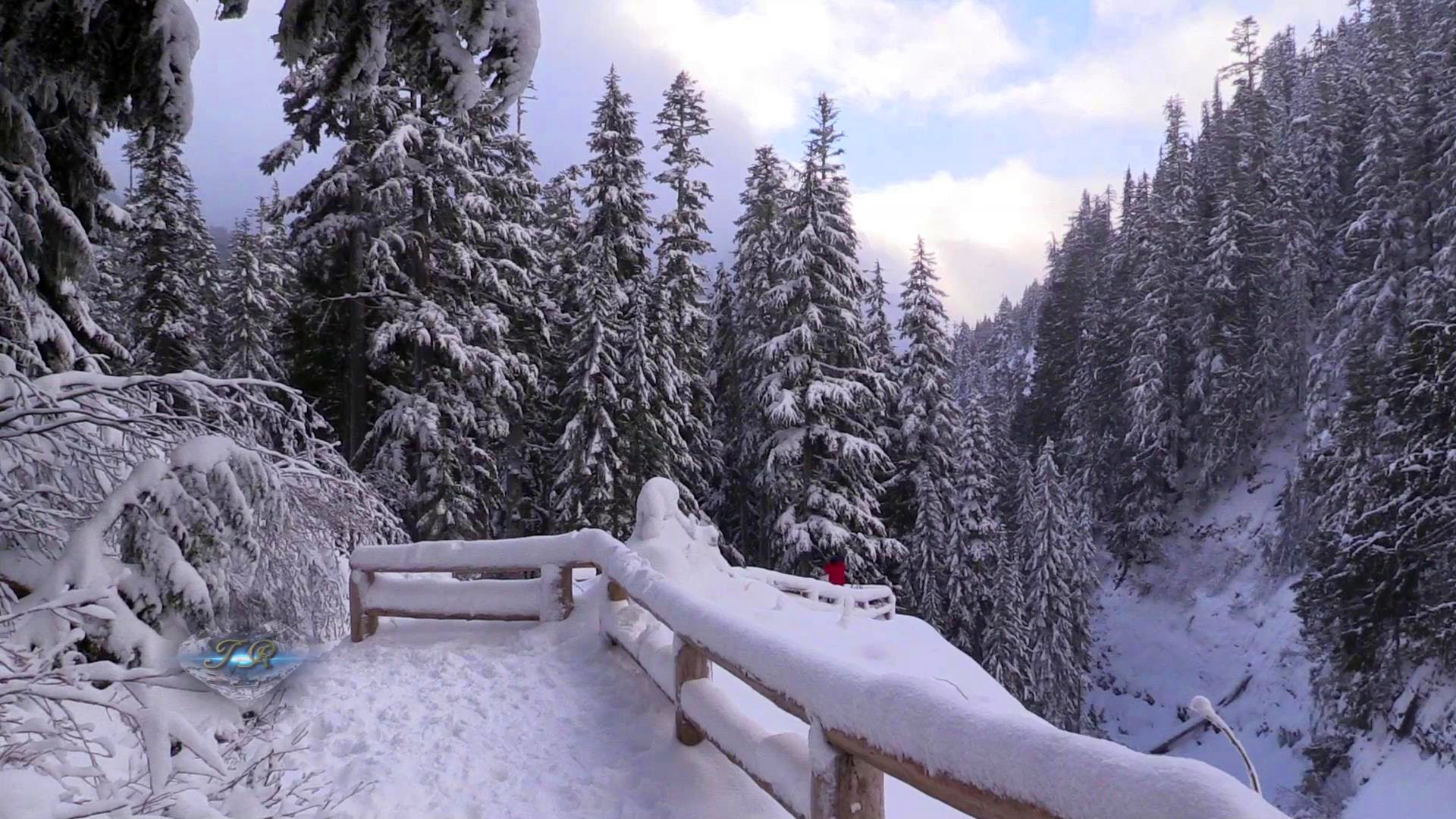 Winter at Mt. Rainier National Park 20141230 1080p HD - YouTube