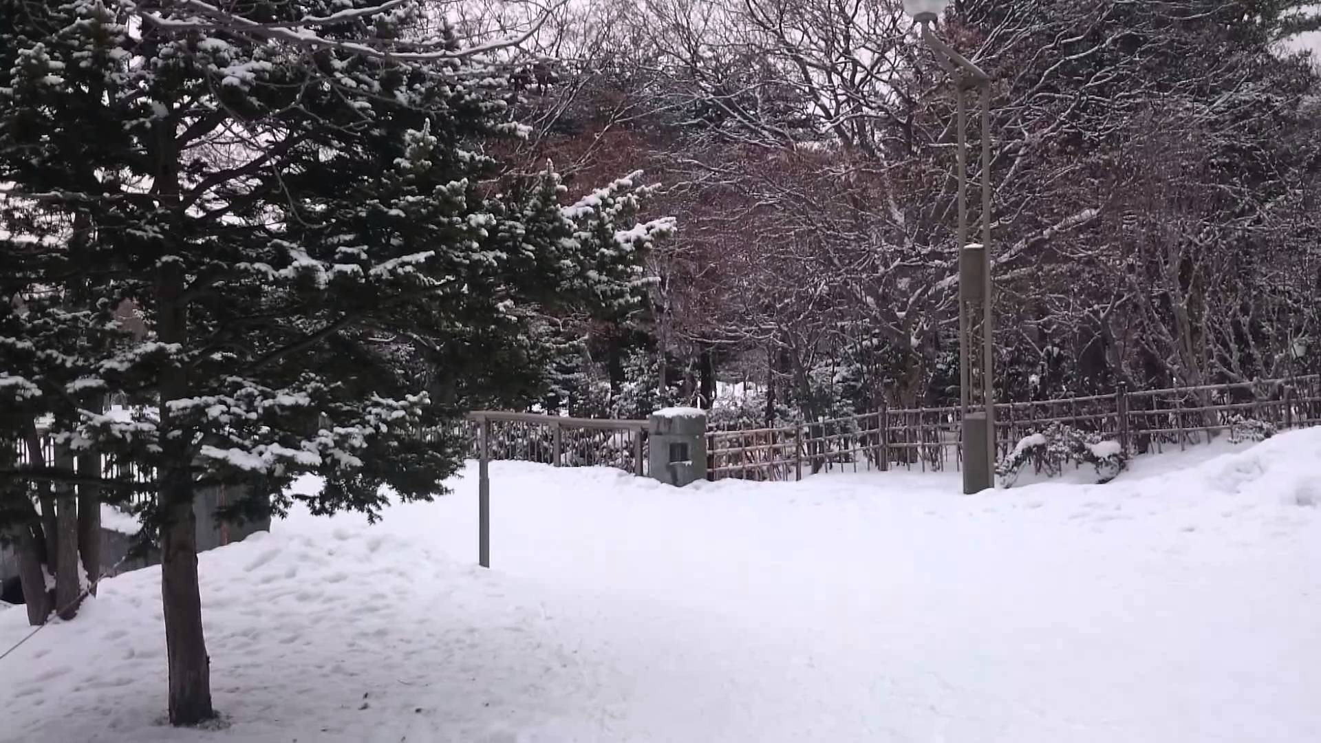 360° view at Nakajima Park (Winter) - YouTube