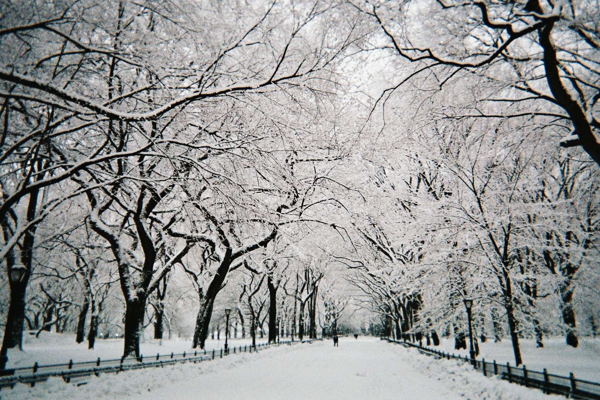 10 things I learned about winter in New York | Central park, Park ...