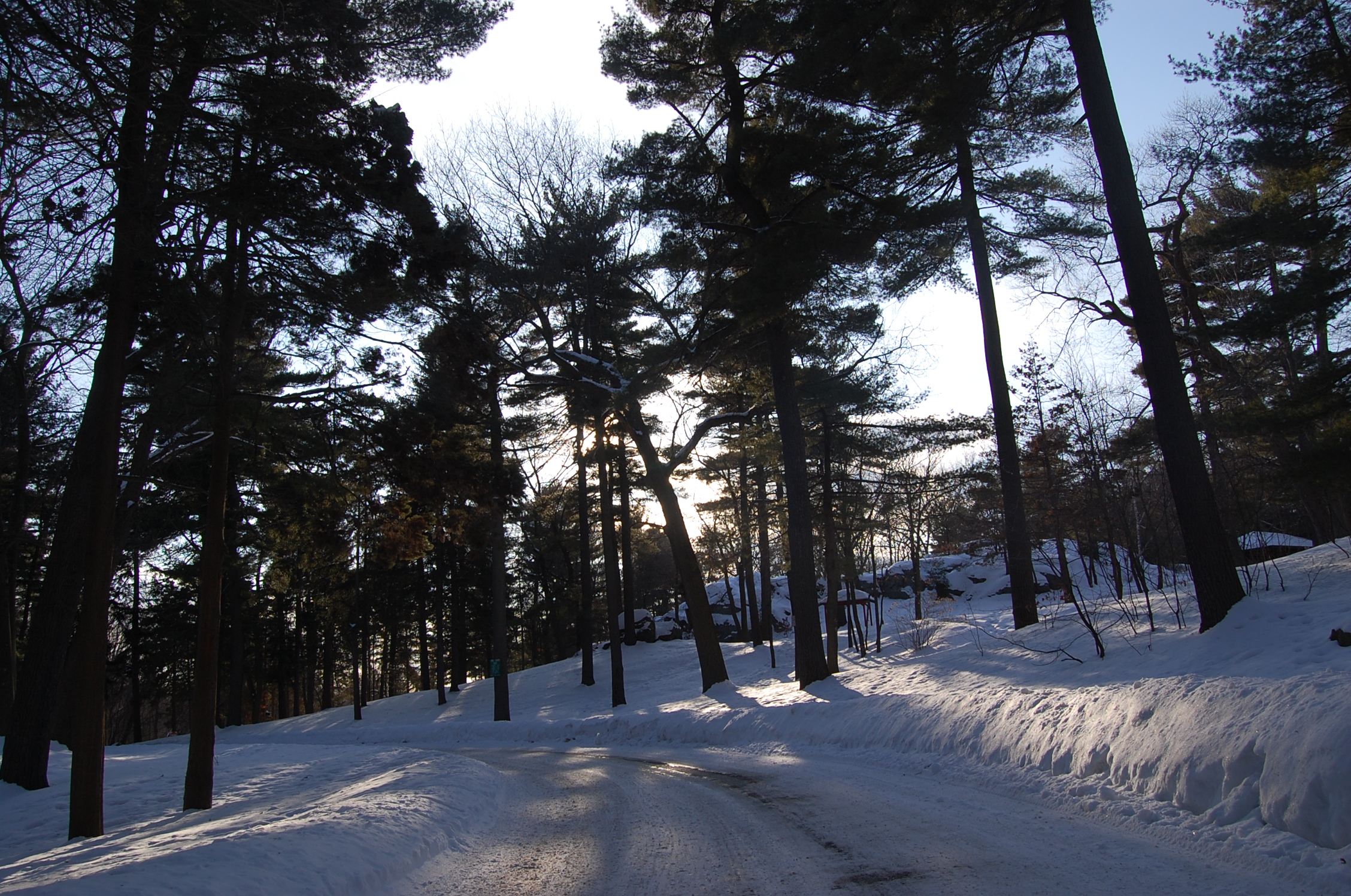 Winter at Pine Banks Park - Pine Banks Park